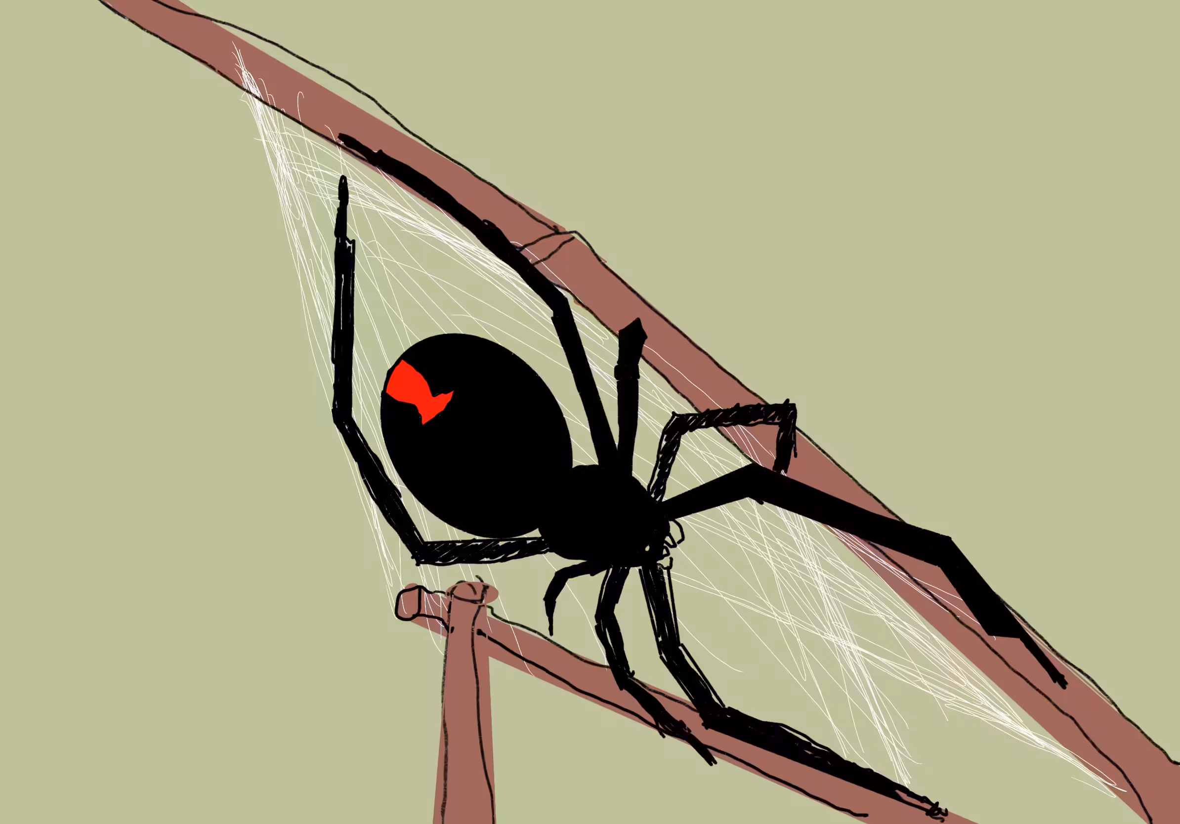 GM! #43 - spider