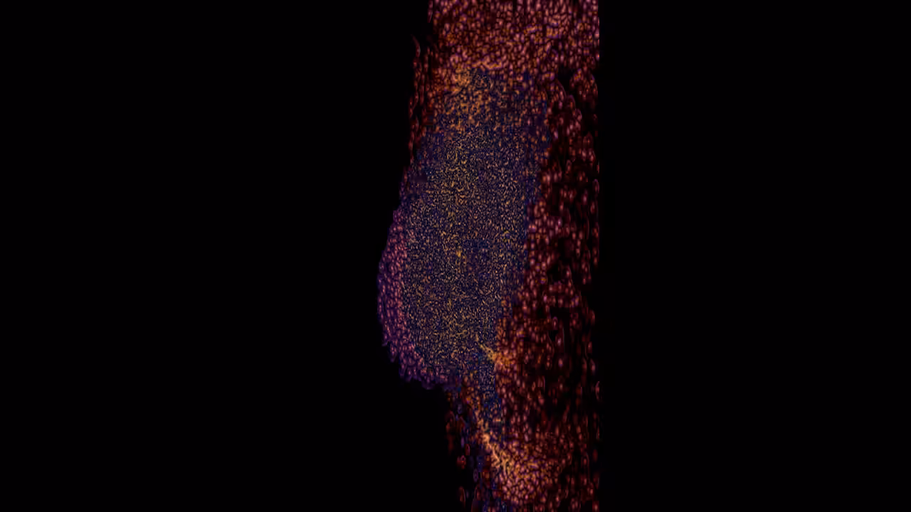 cortex.blossomer