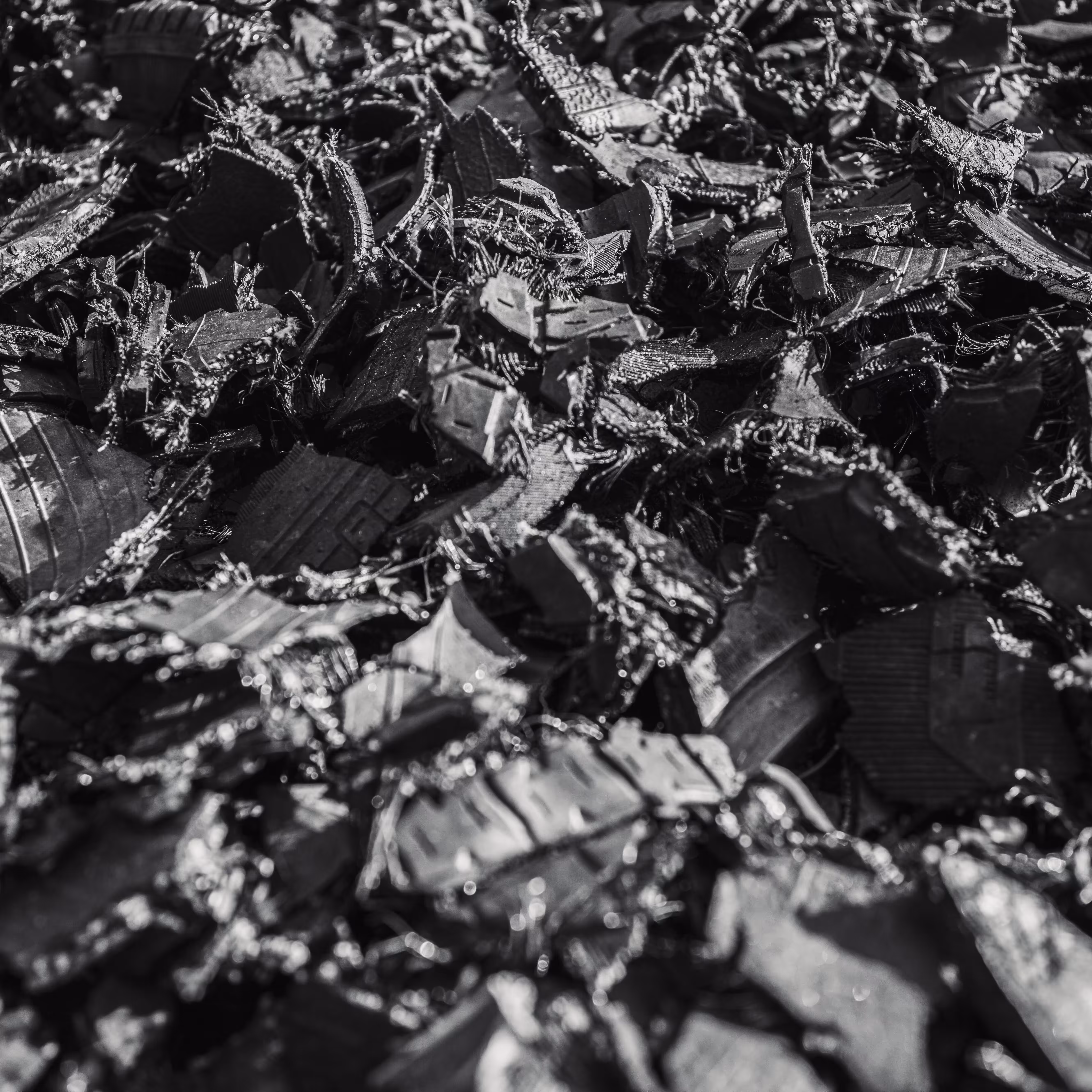 CACHIVACHES (monochrome): CACHIVACHES #33
