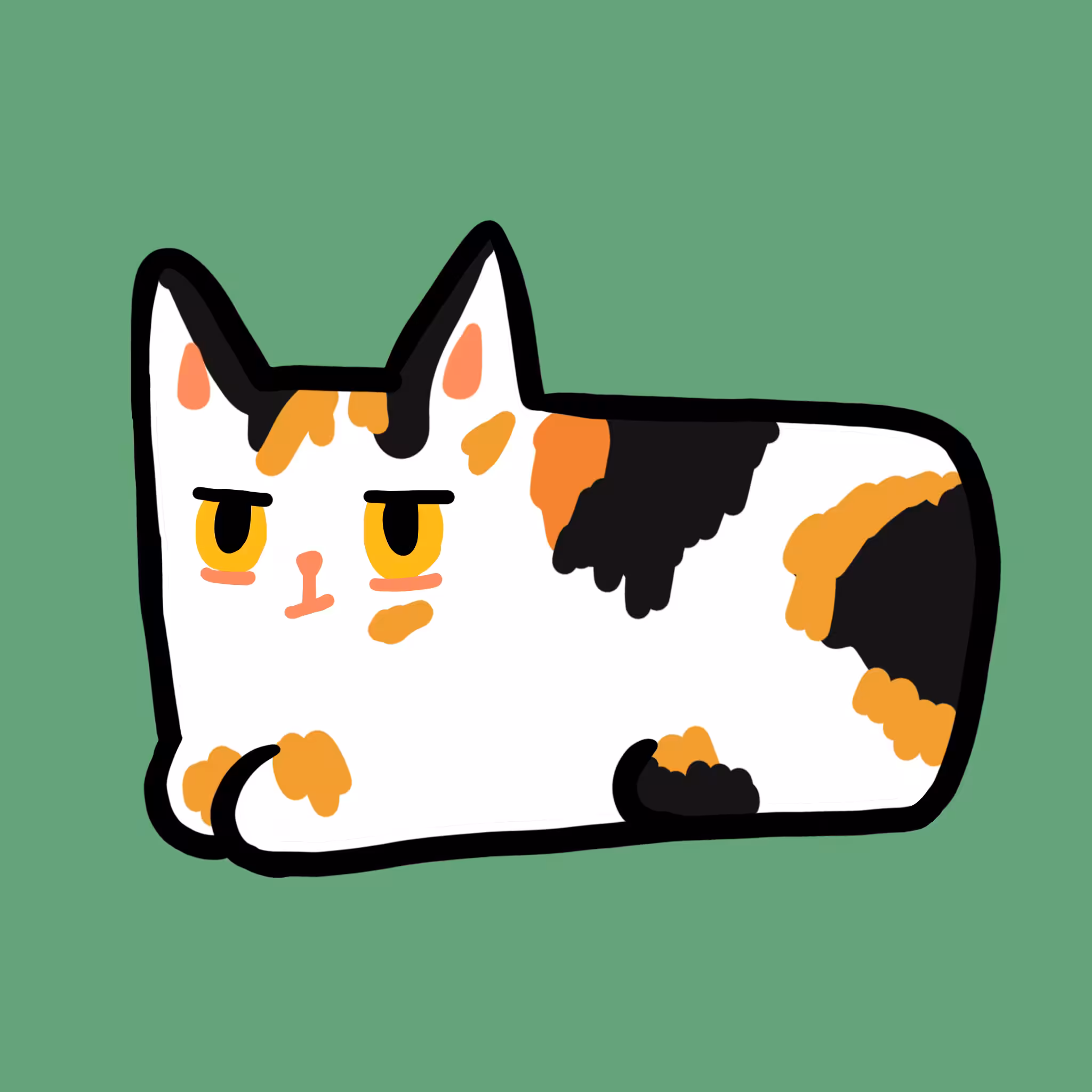 Sunny Cat 25