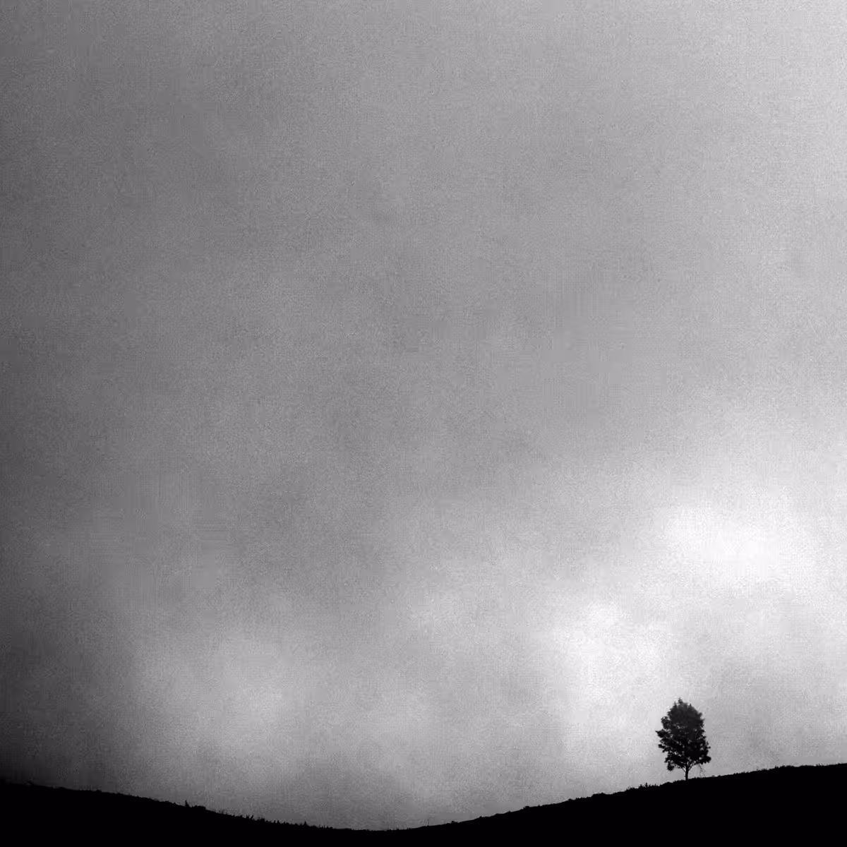 WHITE SKY #1