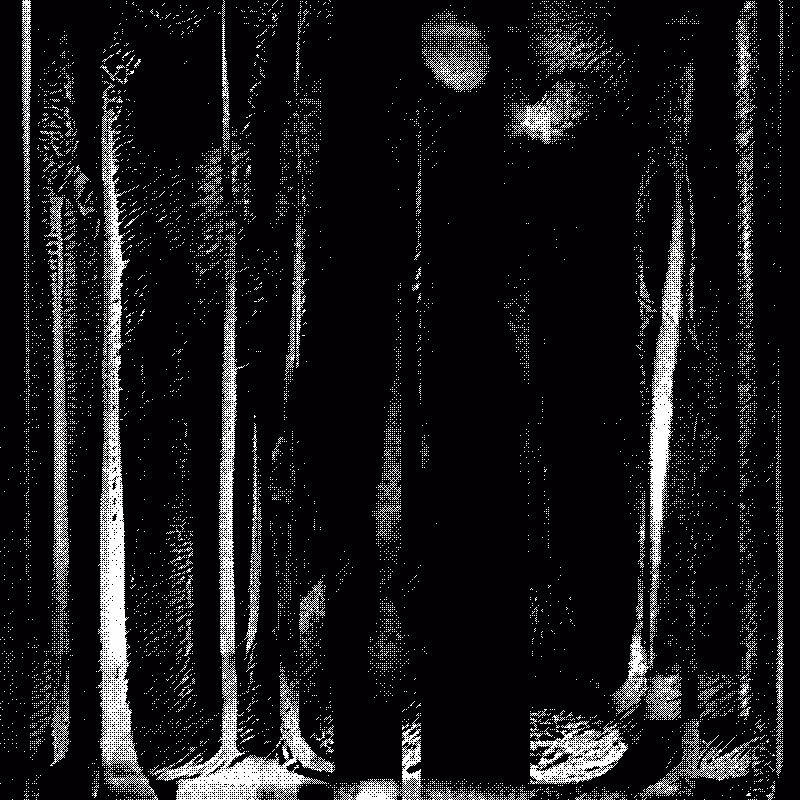 The Hum of Cyber Forest #89