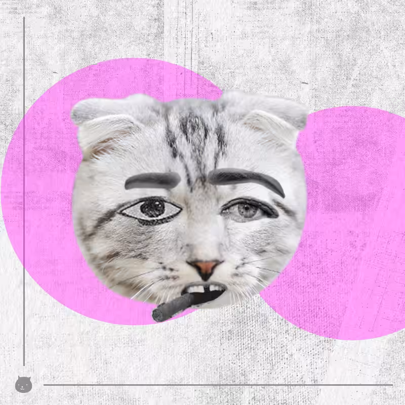 Kittenstein #45