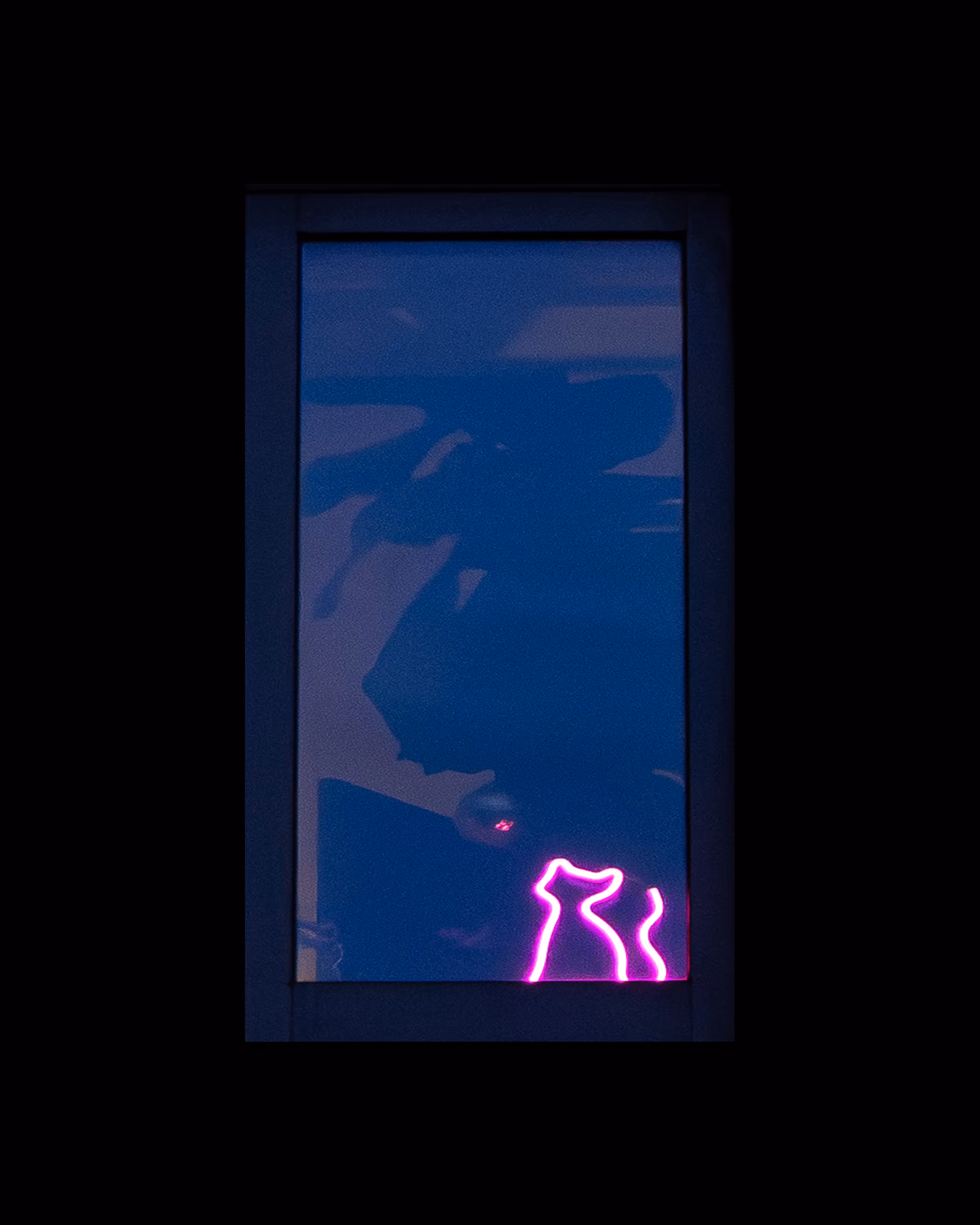 WINDOW 316