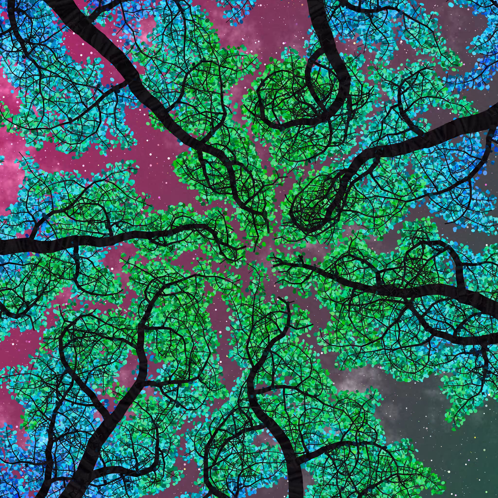 Tree Skyness #109