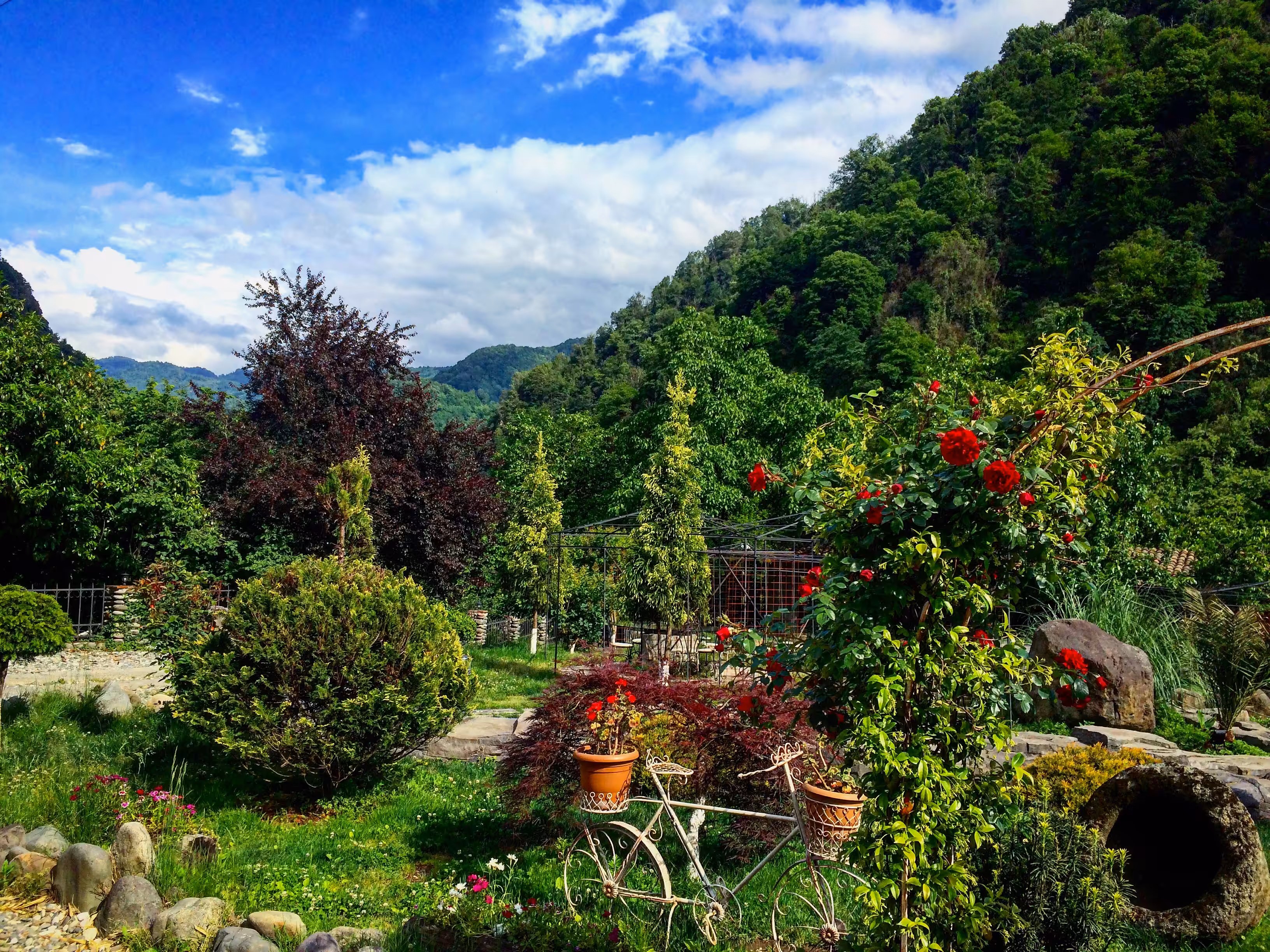 The garden at the Wine House