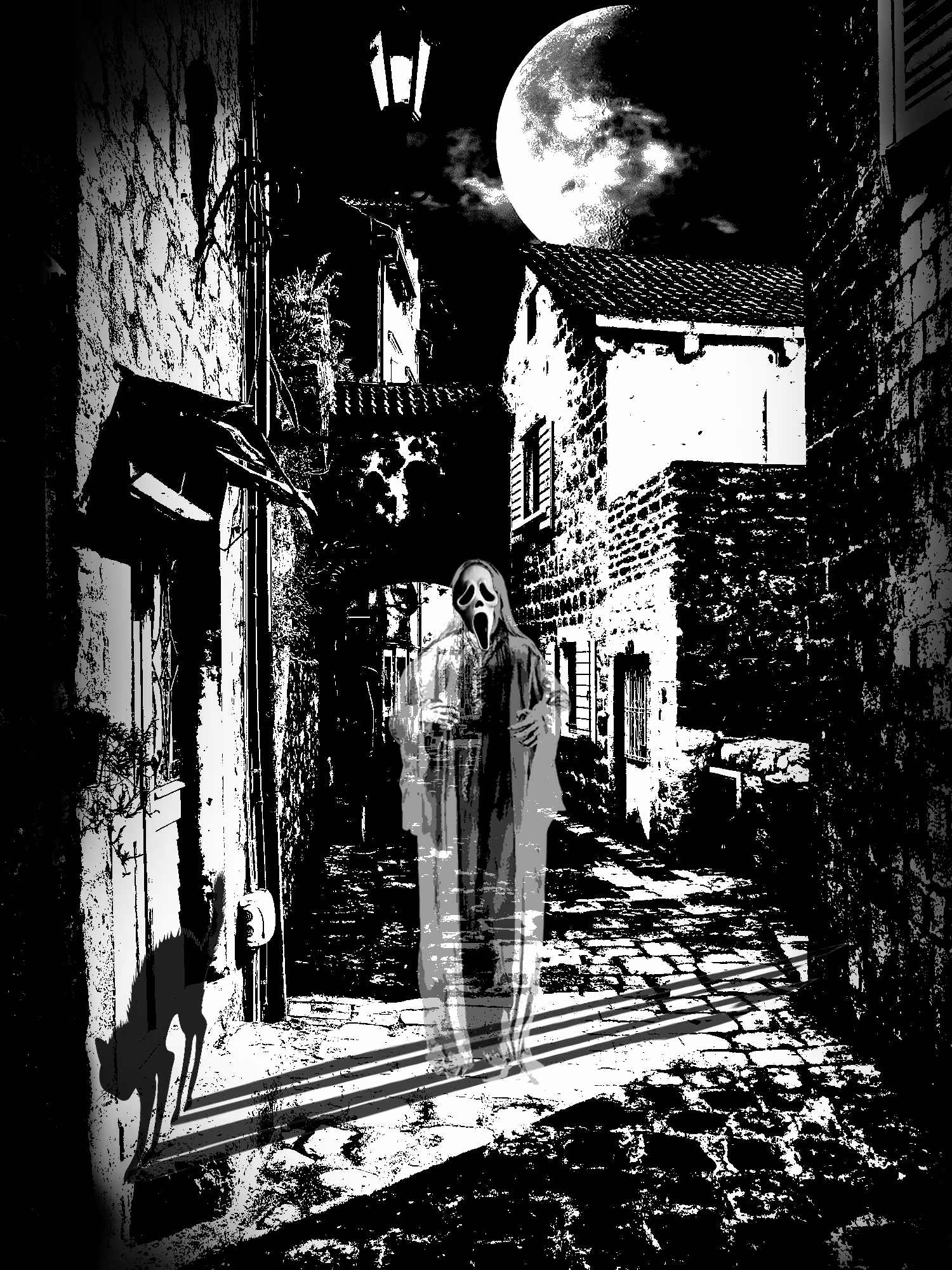Graphics #5  Allan Poe. Black Cat.