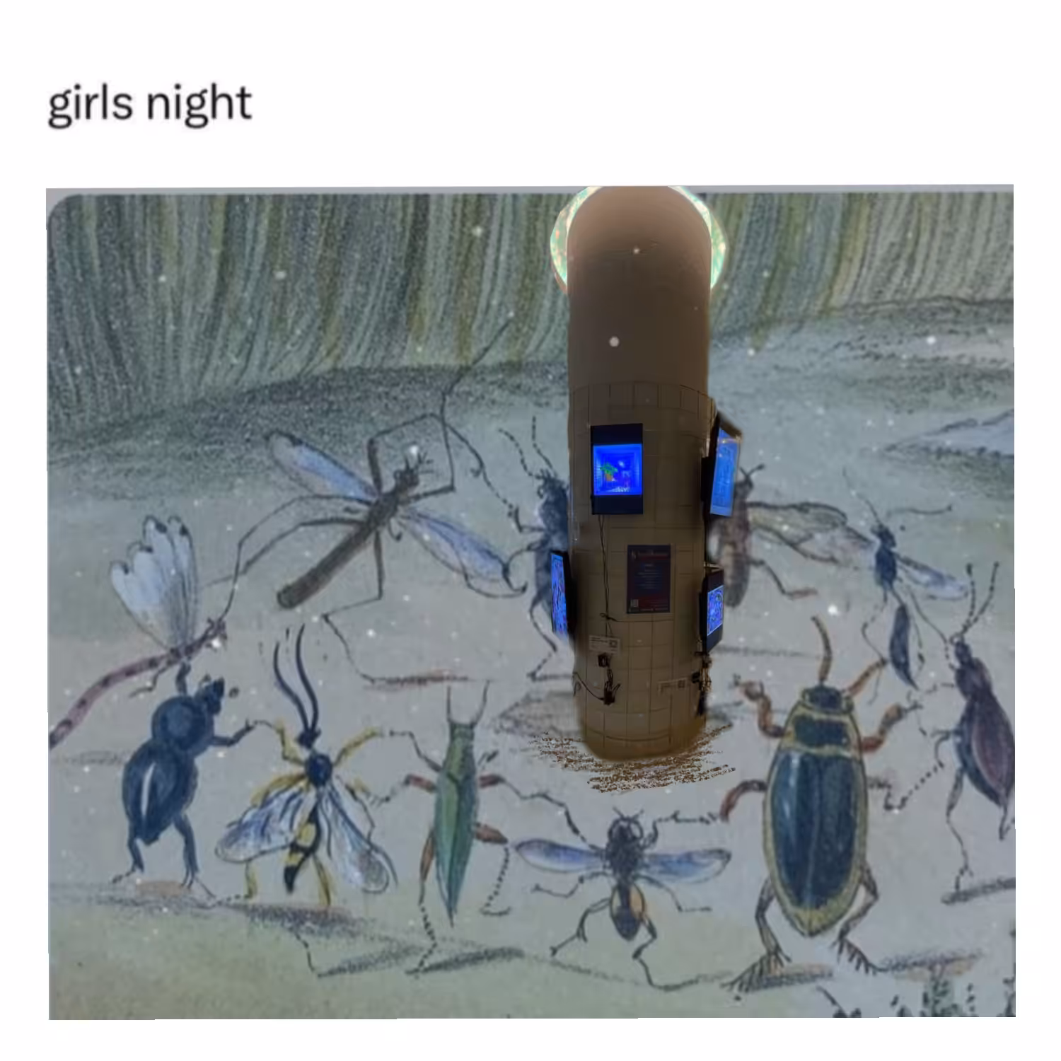 Girls Night