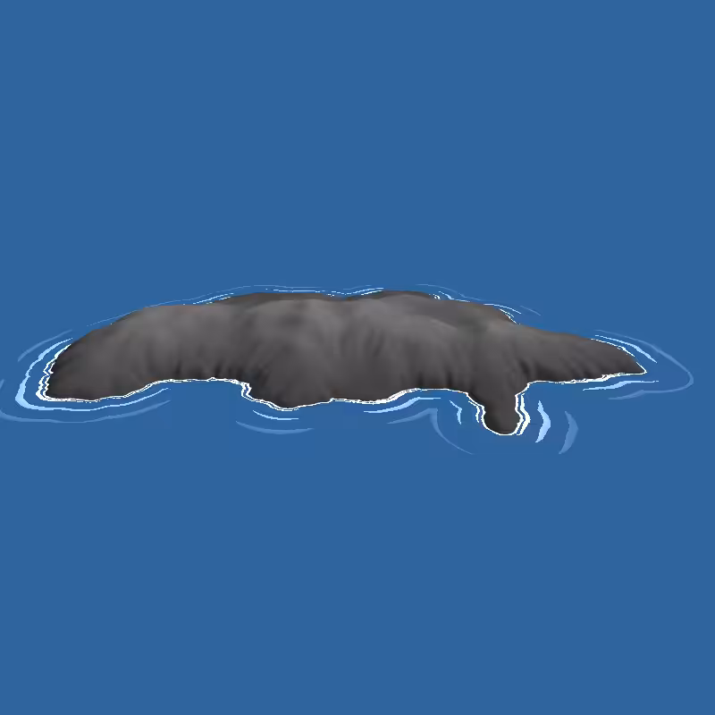 Archipelago #51
