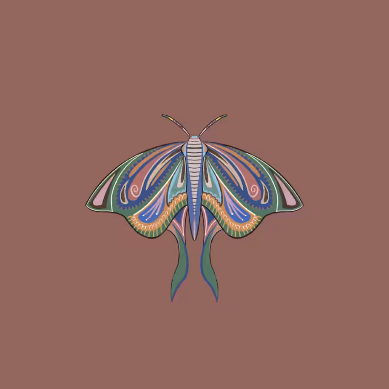 The Moth Experiment 2.0 P2 #3