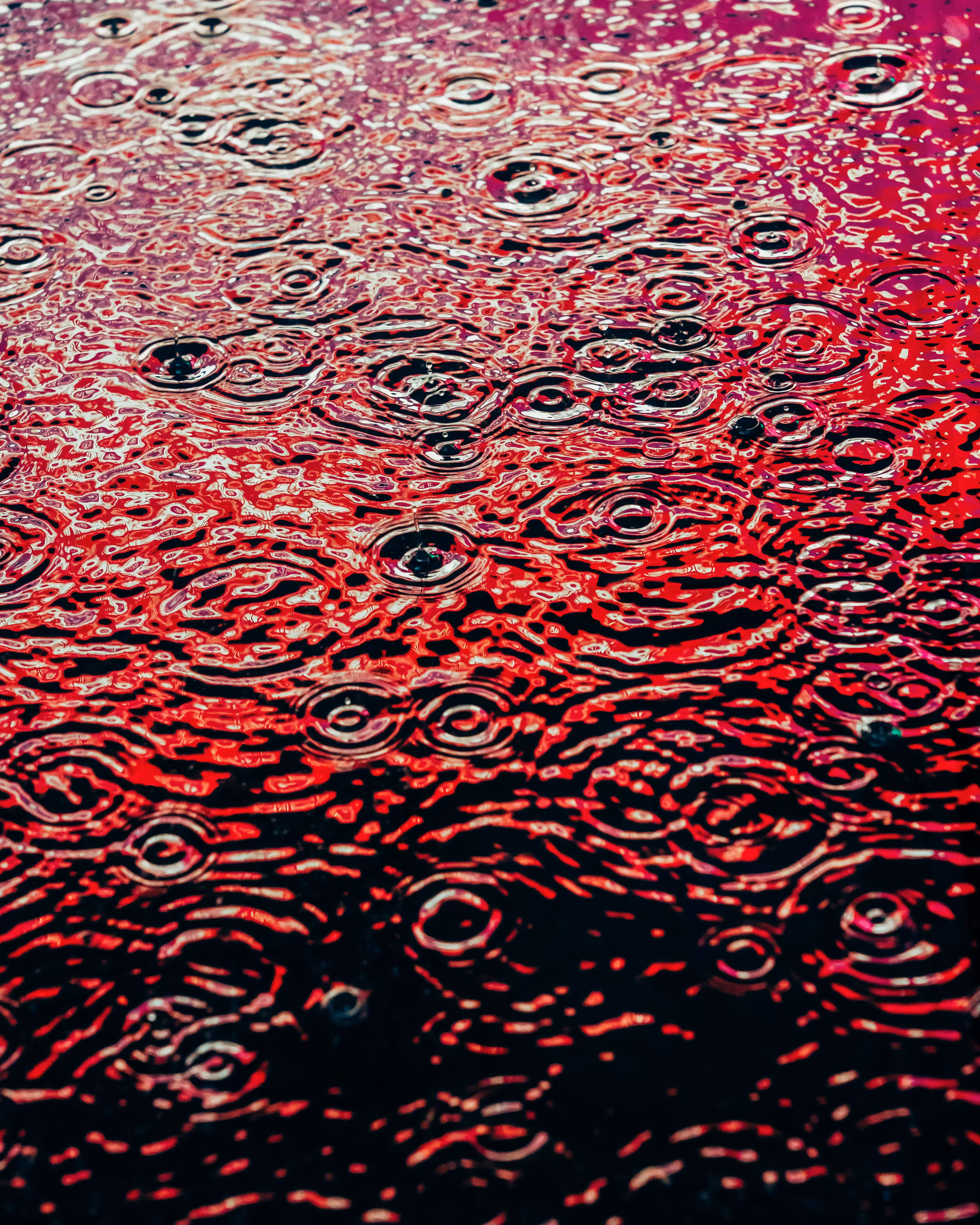 DRIP DROP: DRIP #583