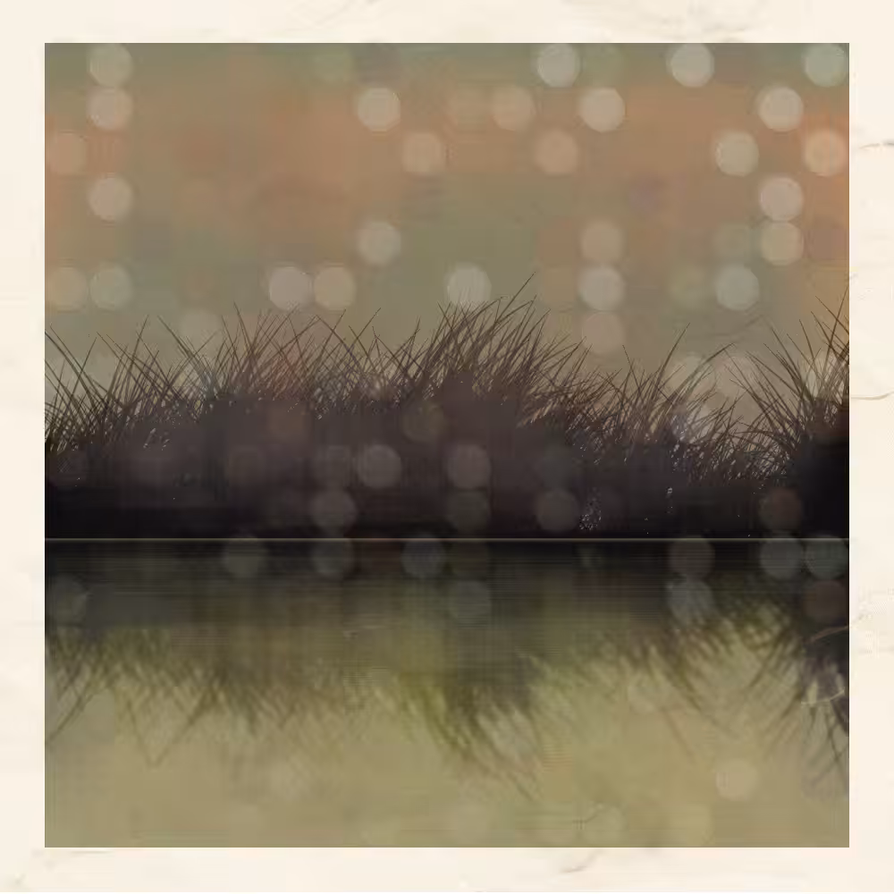 Self-reflection #58