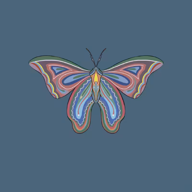 The Moth Experiment 2.0 P2 #33