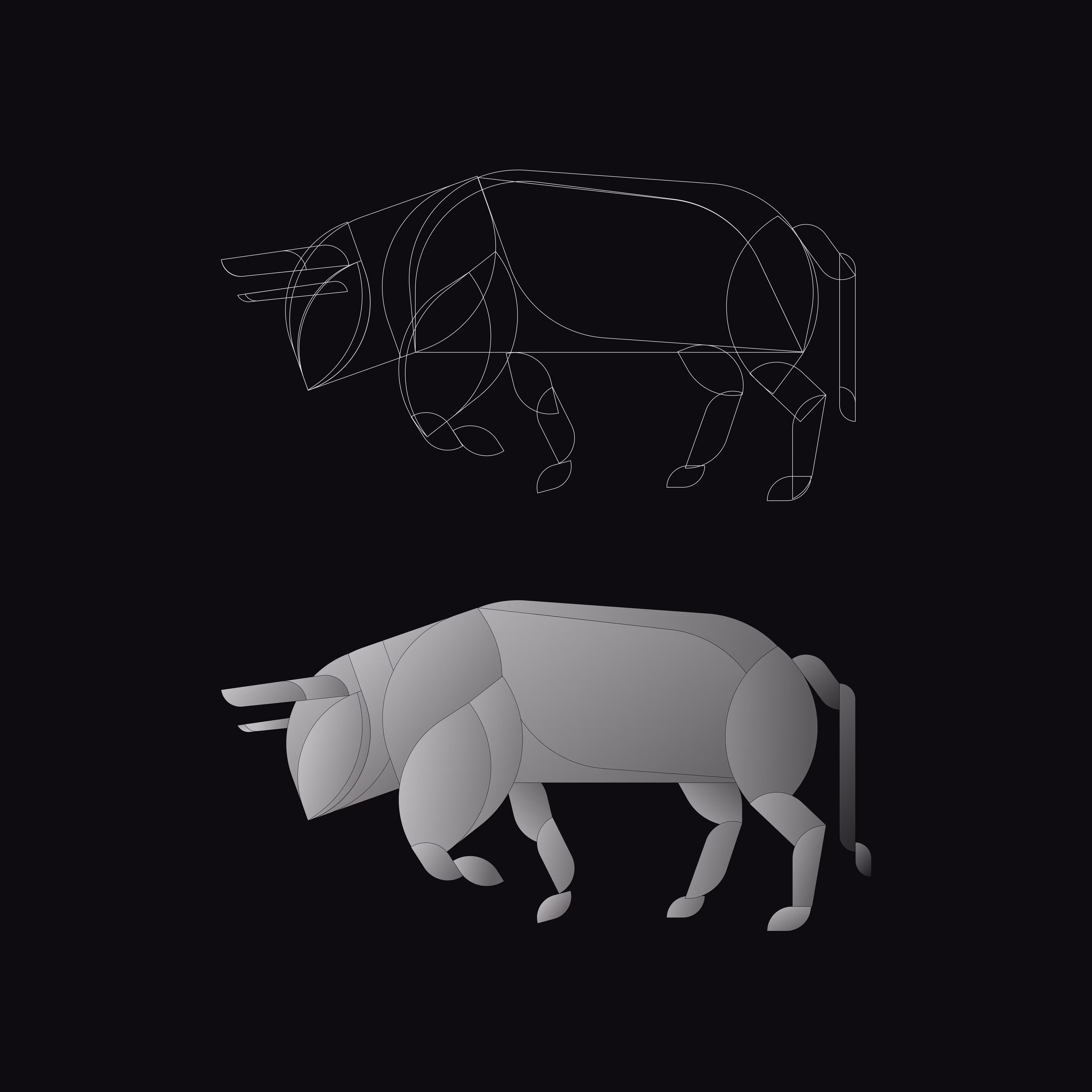 Study of a Bull