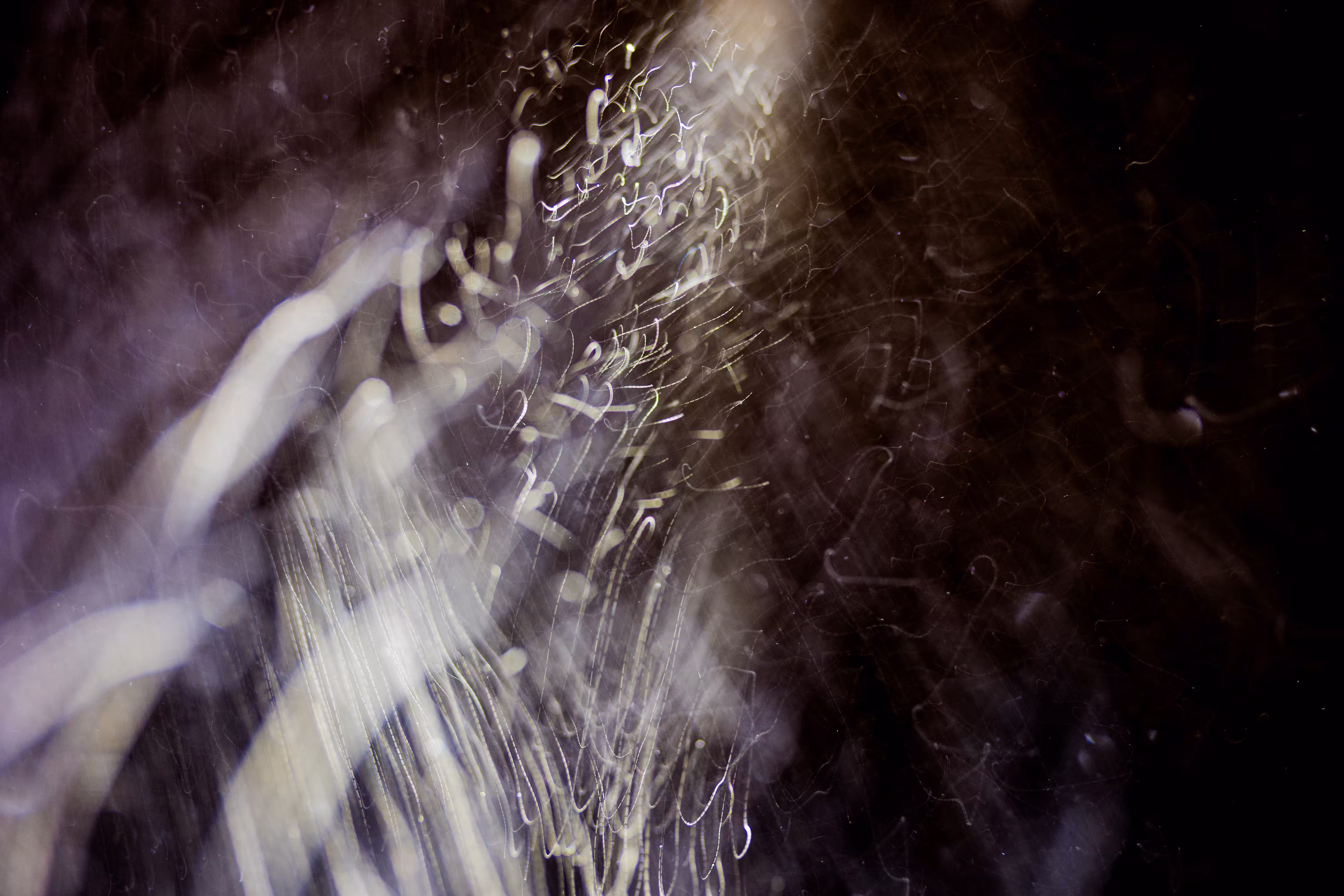 GISELXLIGHTSLURRY: L1210400 : An omen of the skies