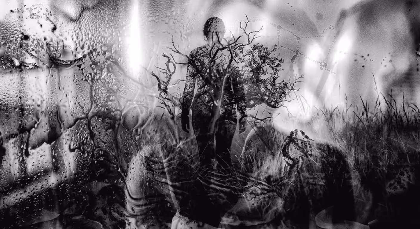 MEMORY'S DISTORTION