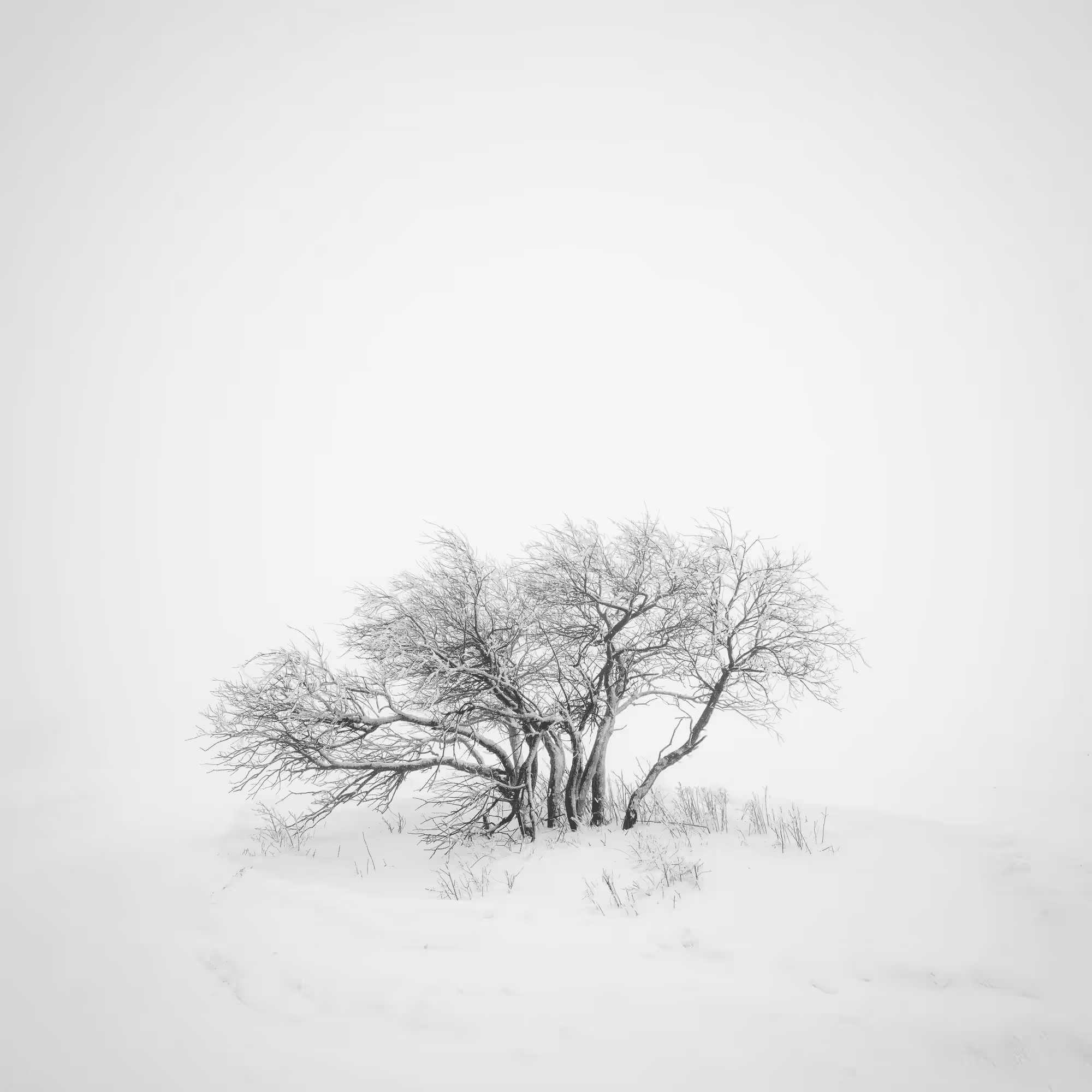 Sound of Silence #16