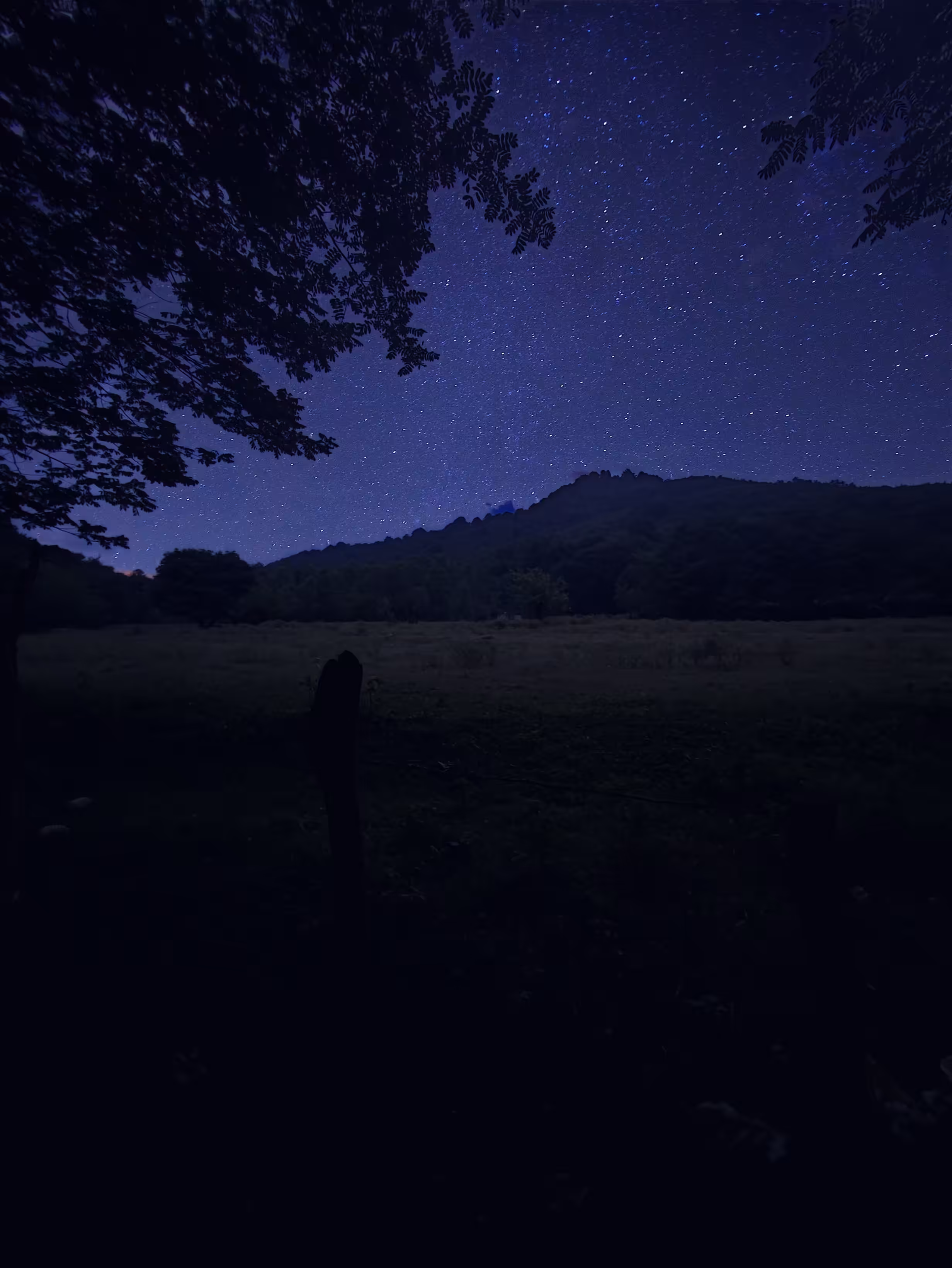 Beautiful night
