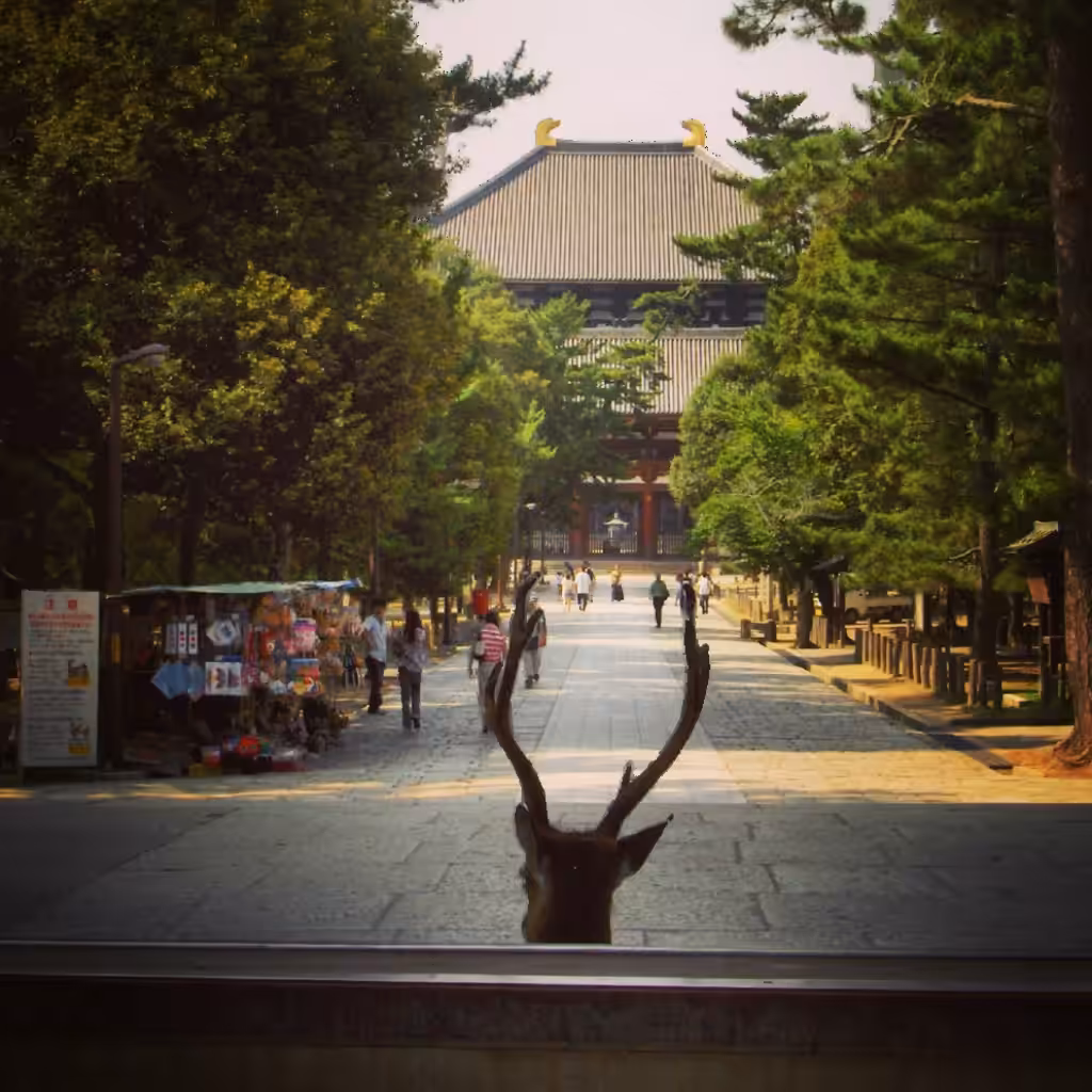 Noon Serenity in Japan 