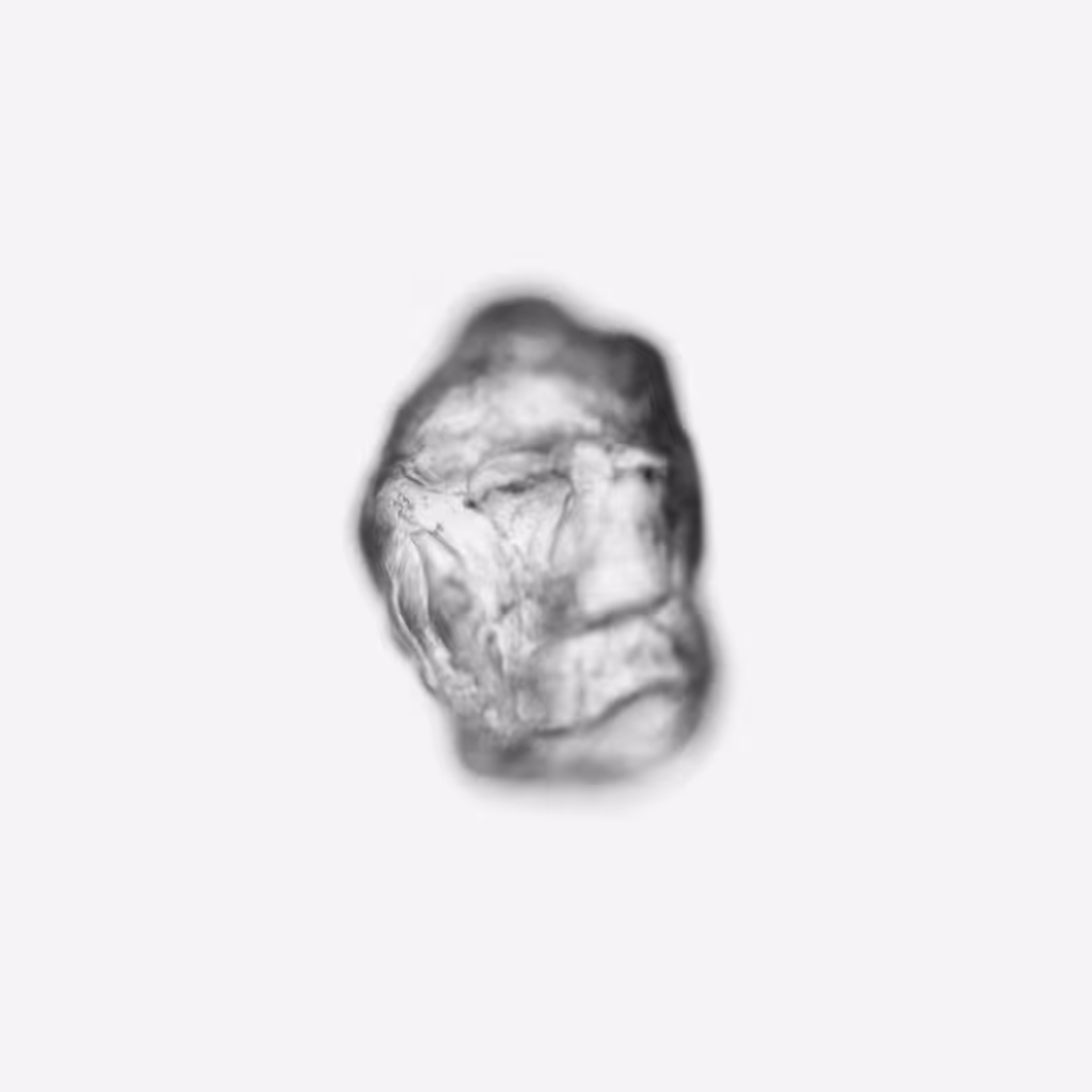 Pareidolia, sandface #0137