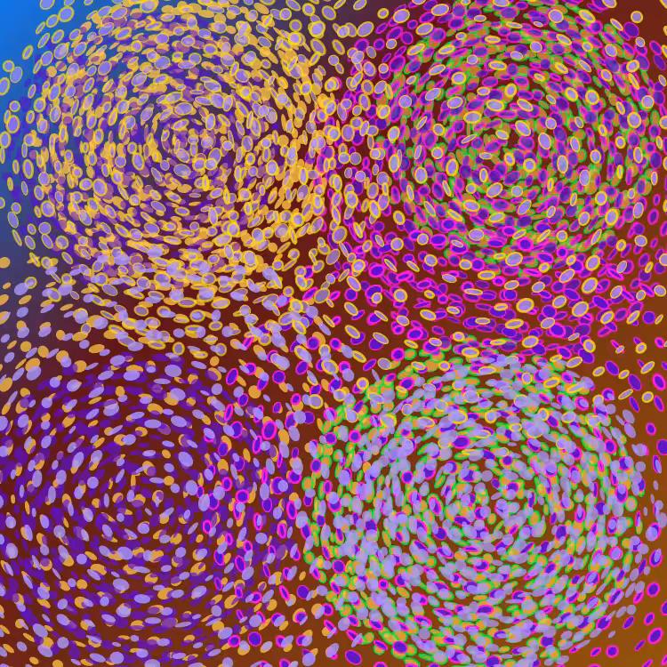 PhyllotacticGalaxies #7