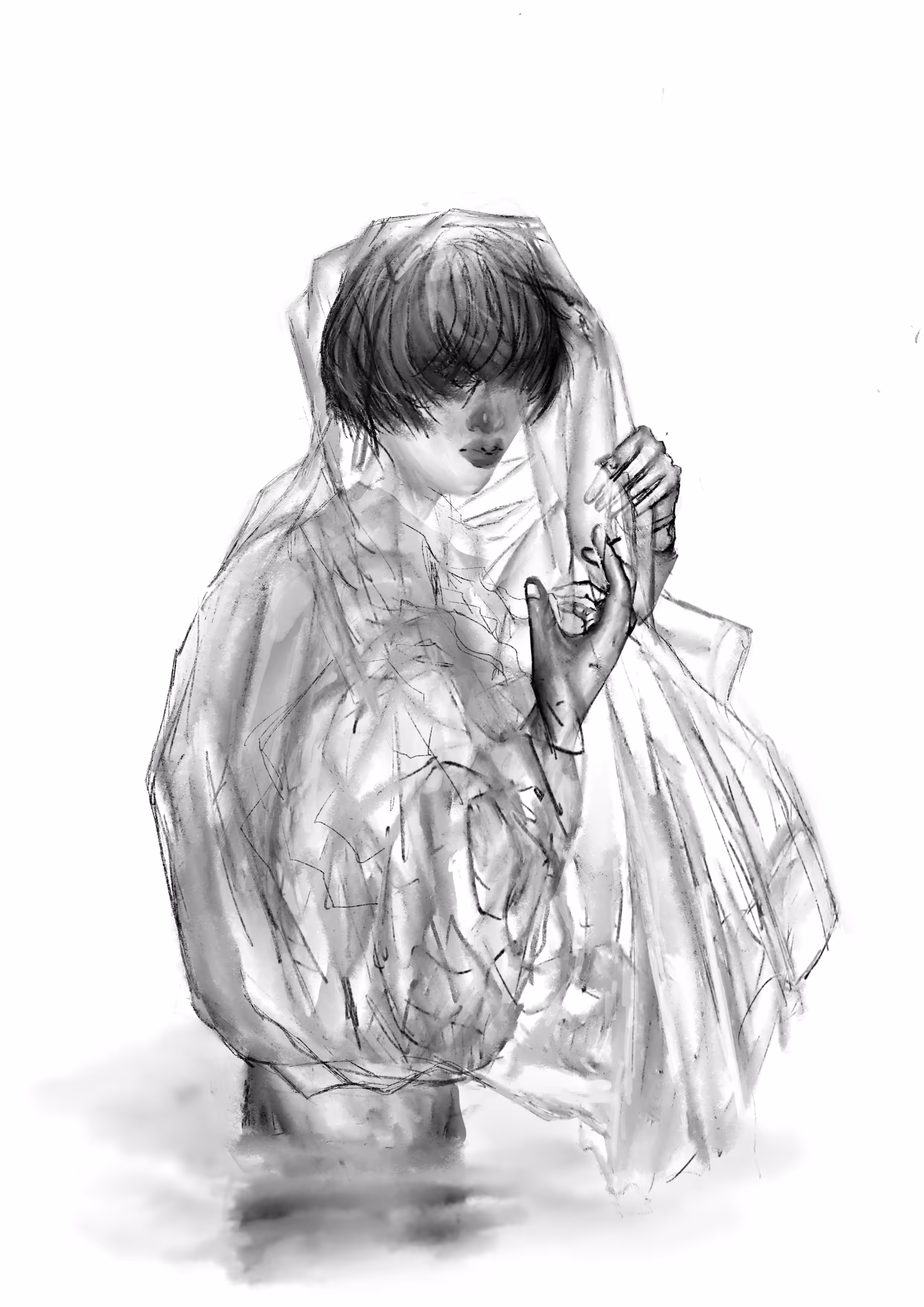 Veil