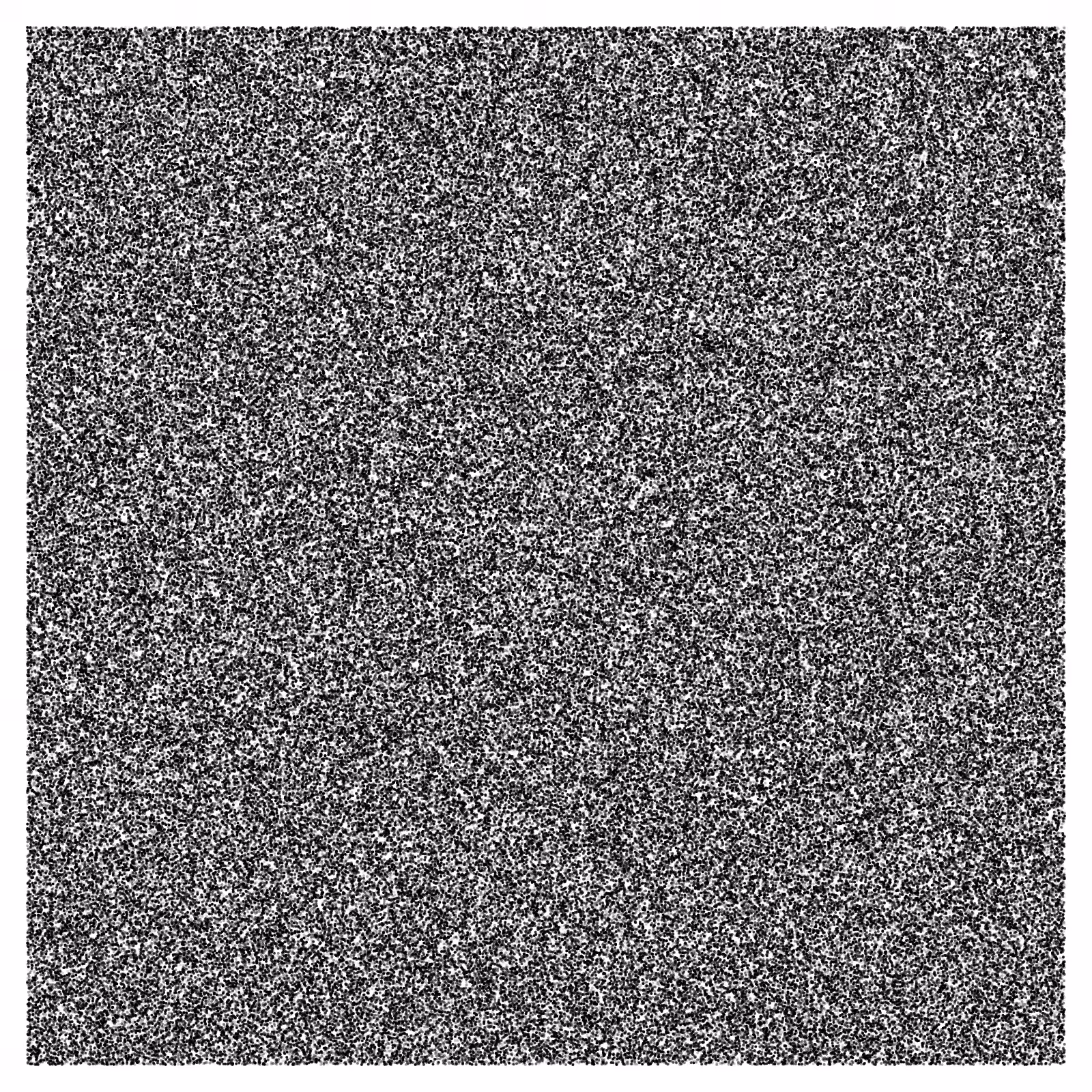 Noise #33