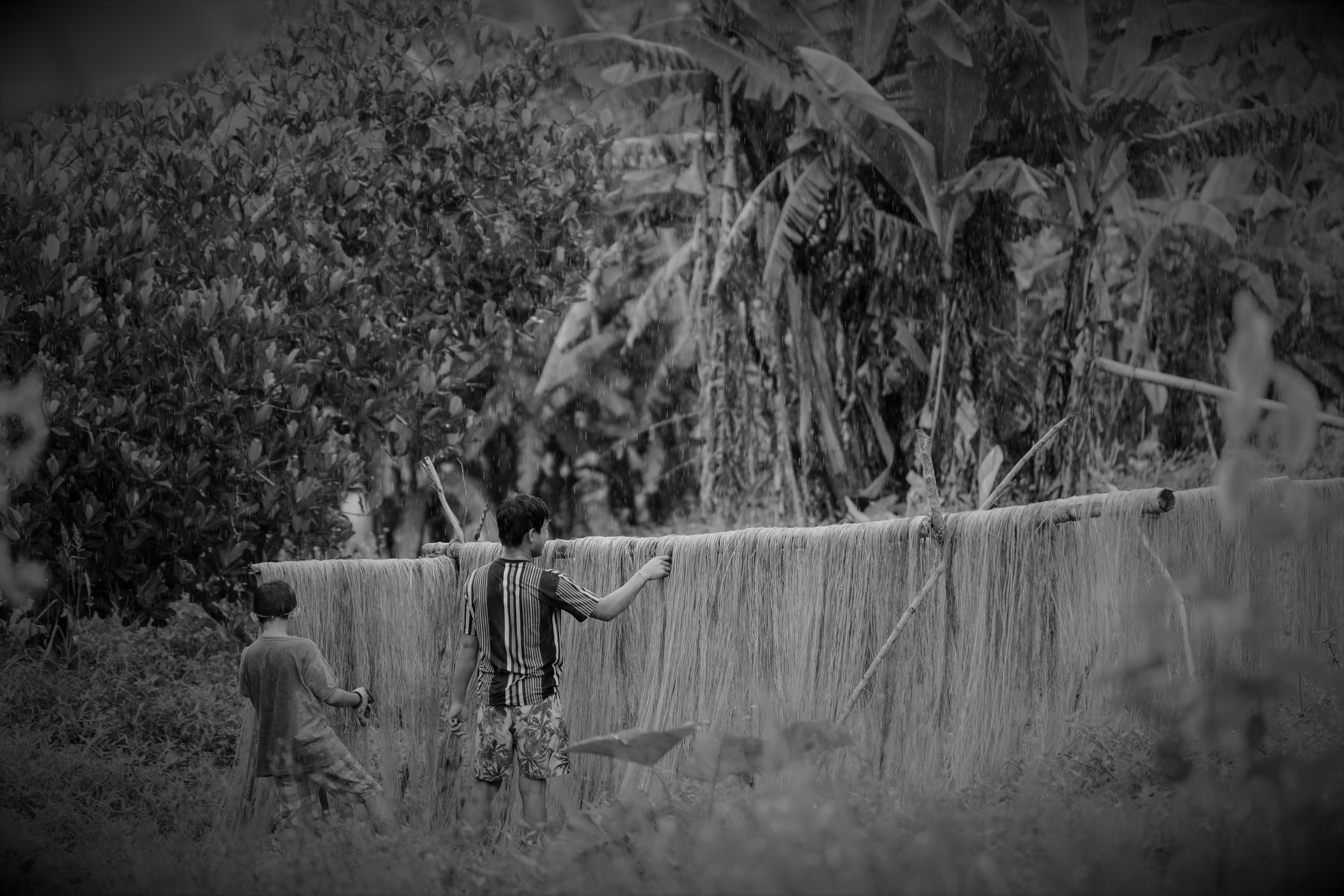 "The Fields of Grey Visual 12" Magnum Opus