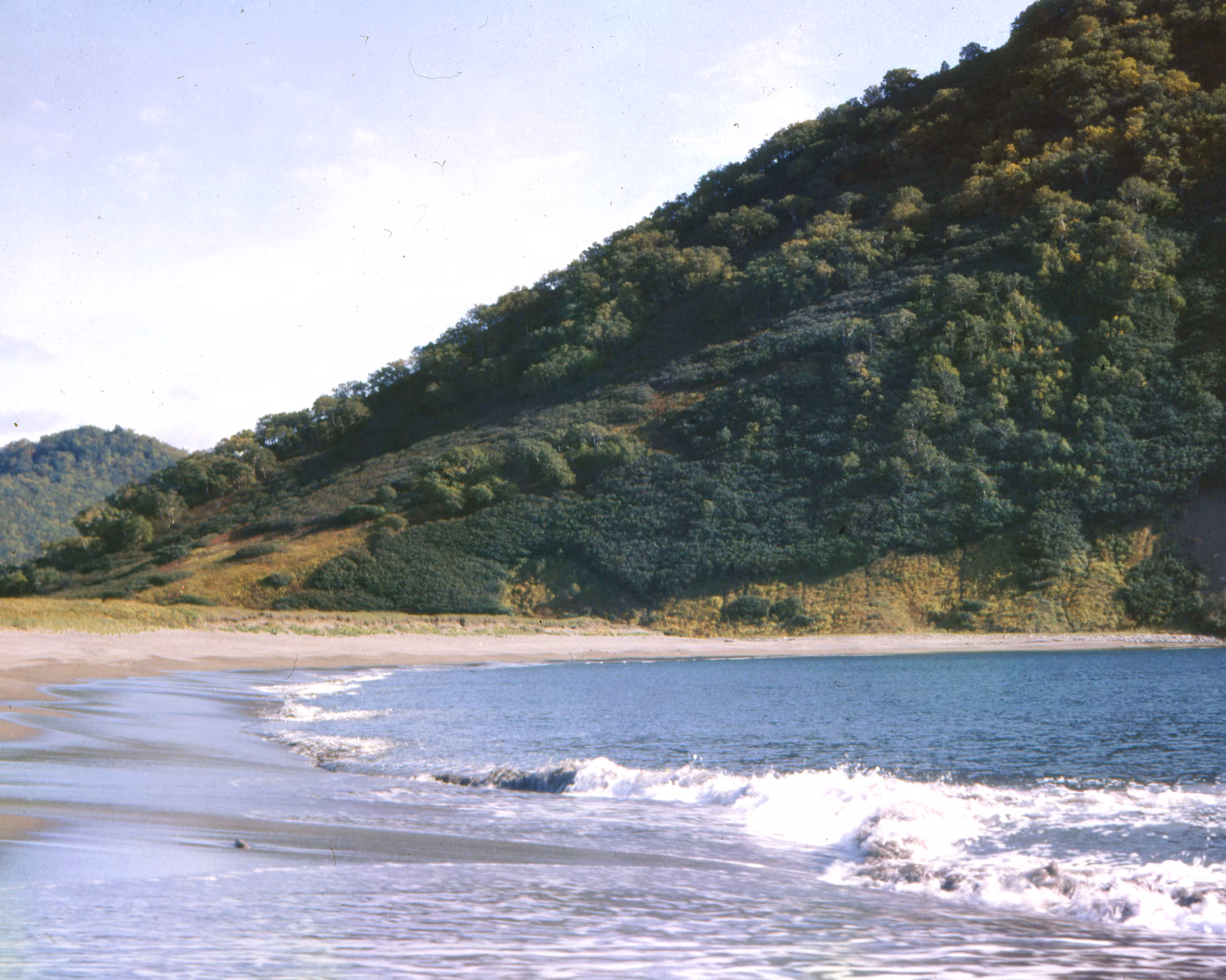 Pacific coast