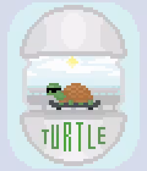 TURTLE 'STEEP'