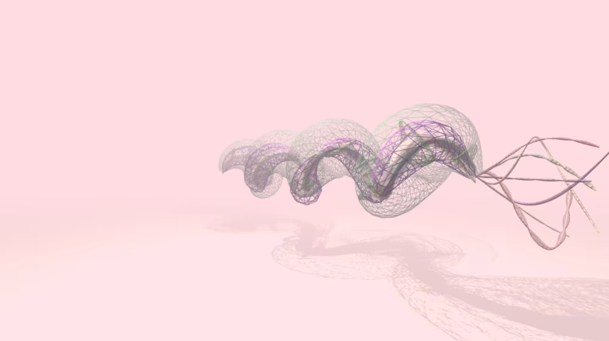 ProtoNematode.01 #32