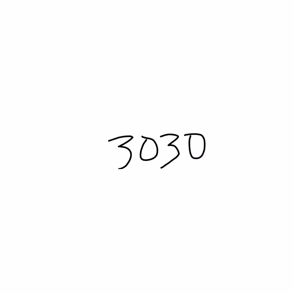 Receipt #3029