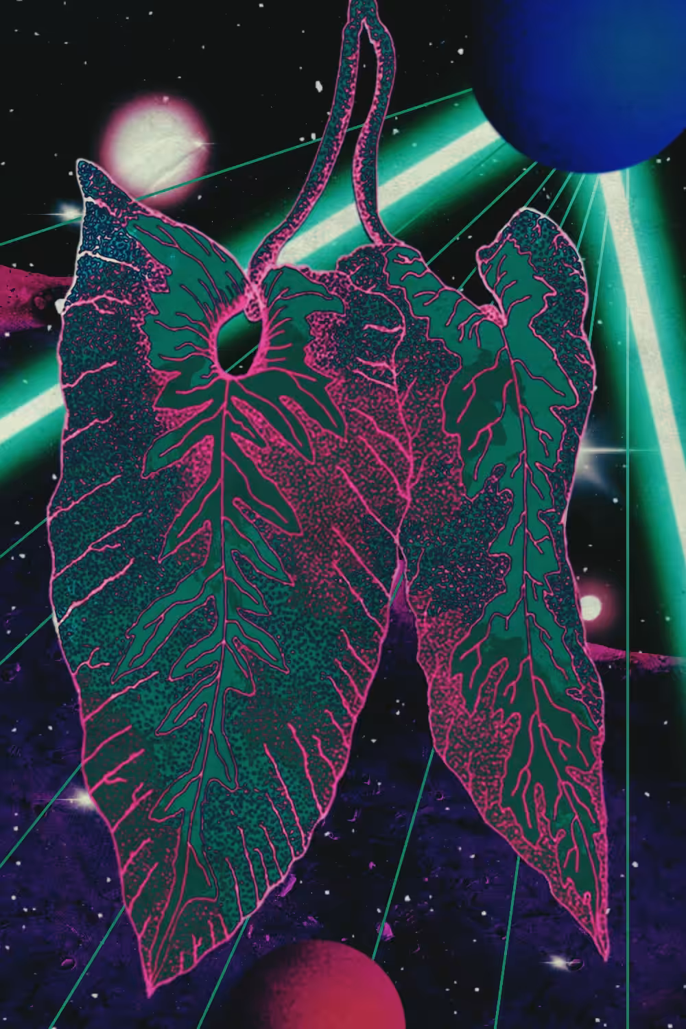 Crypto Plant #004