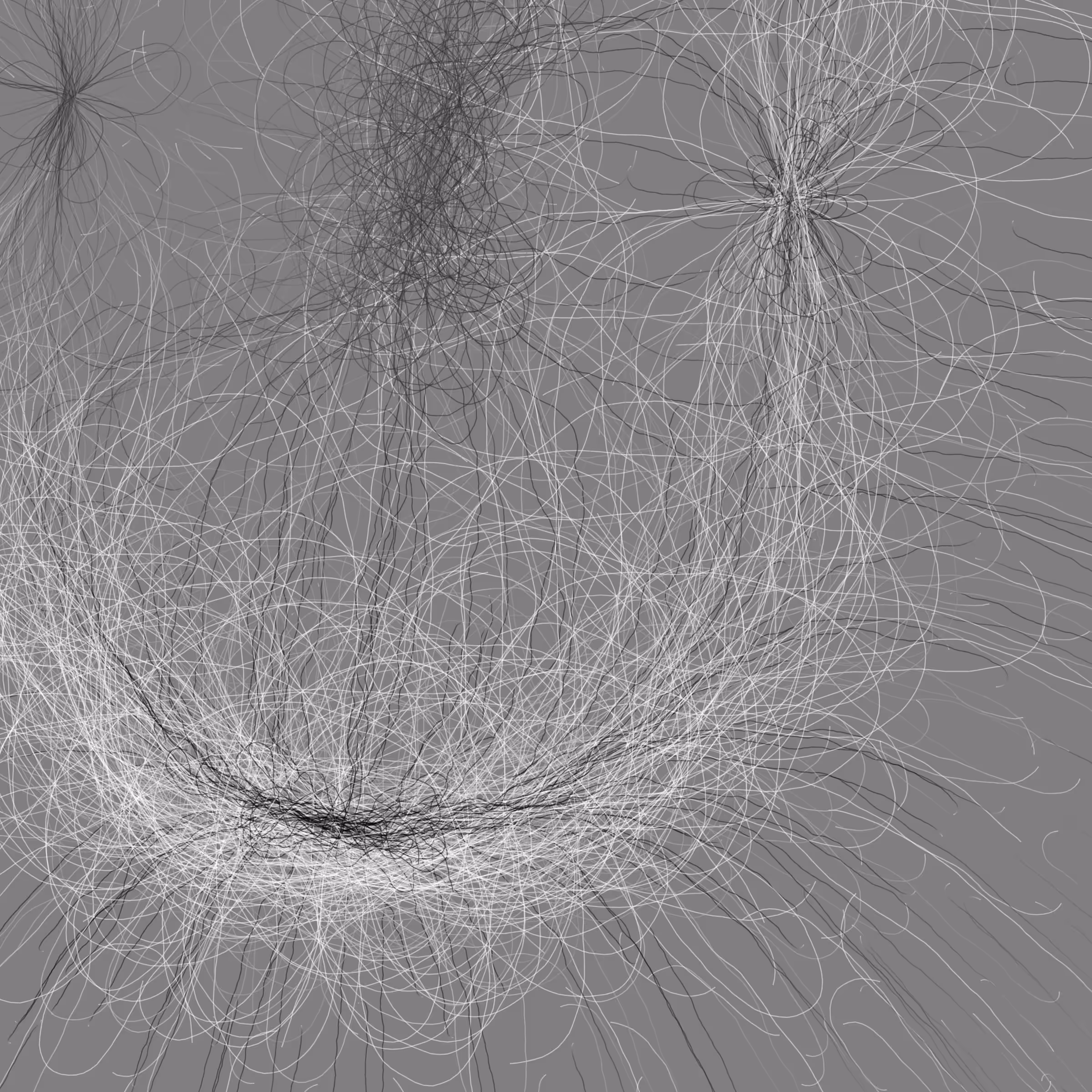 Phototaxis #991