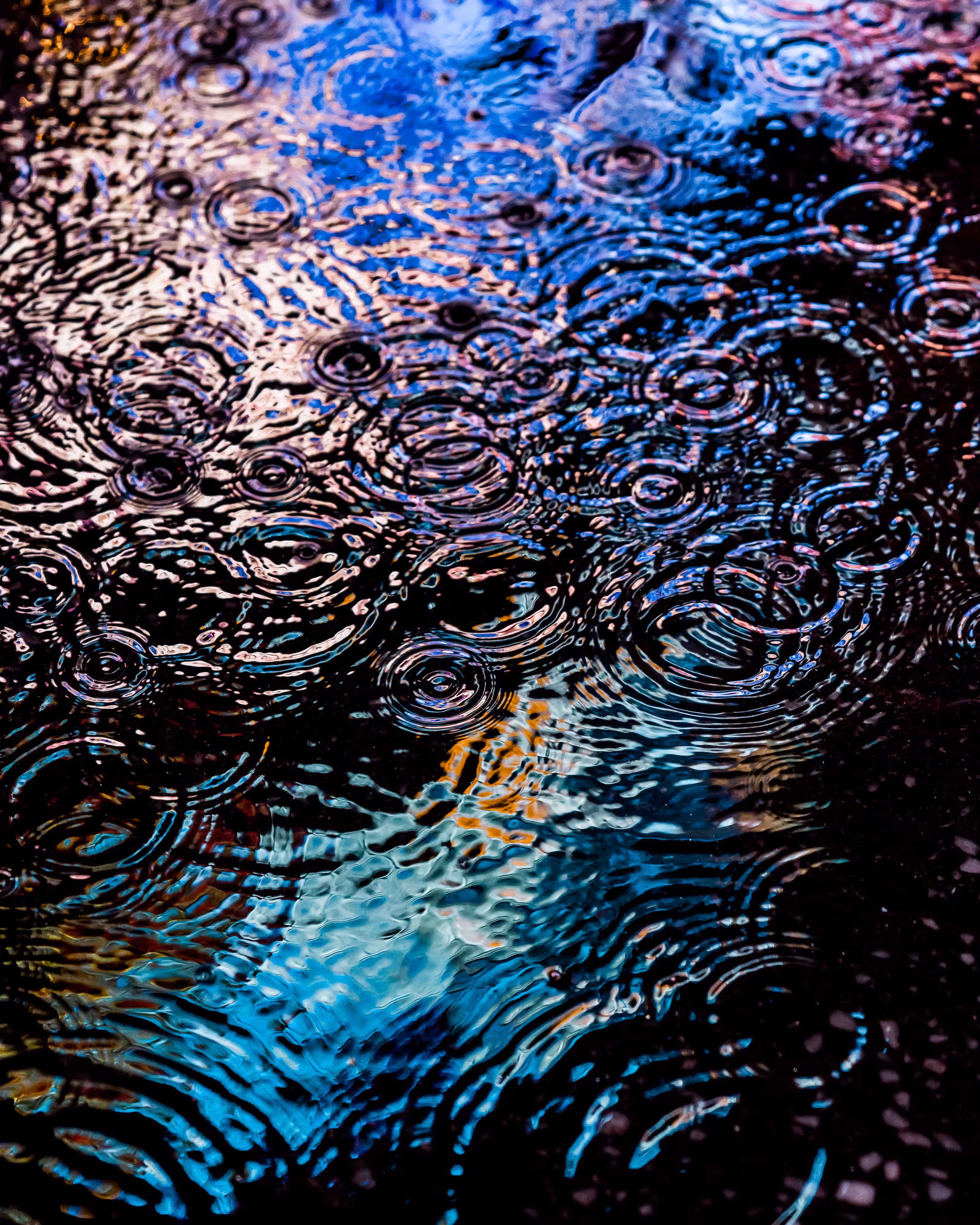 DRIP DROP: DRIP #552
