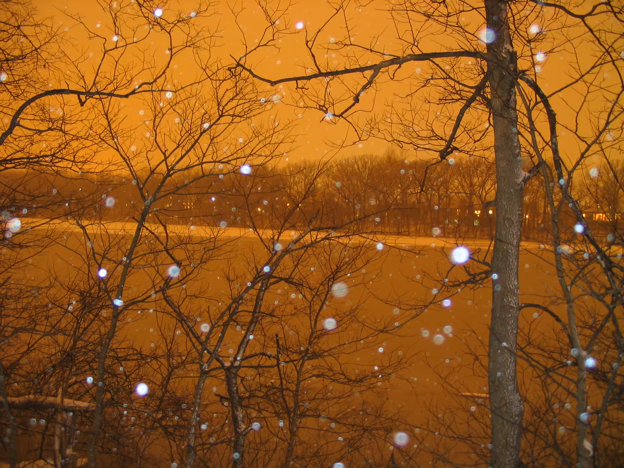 70s Snow