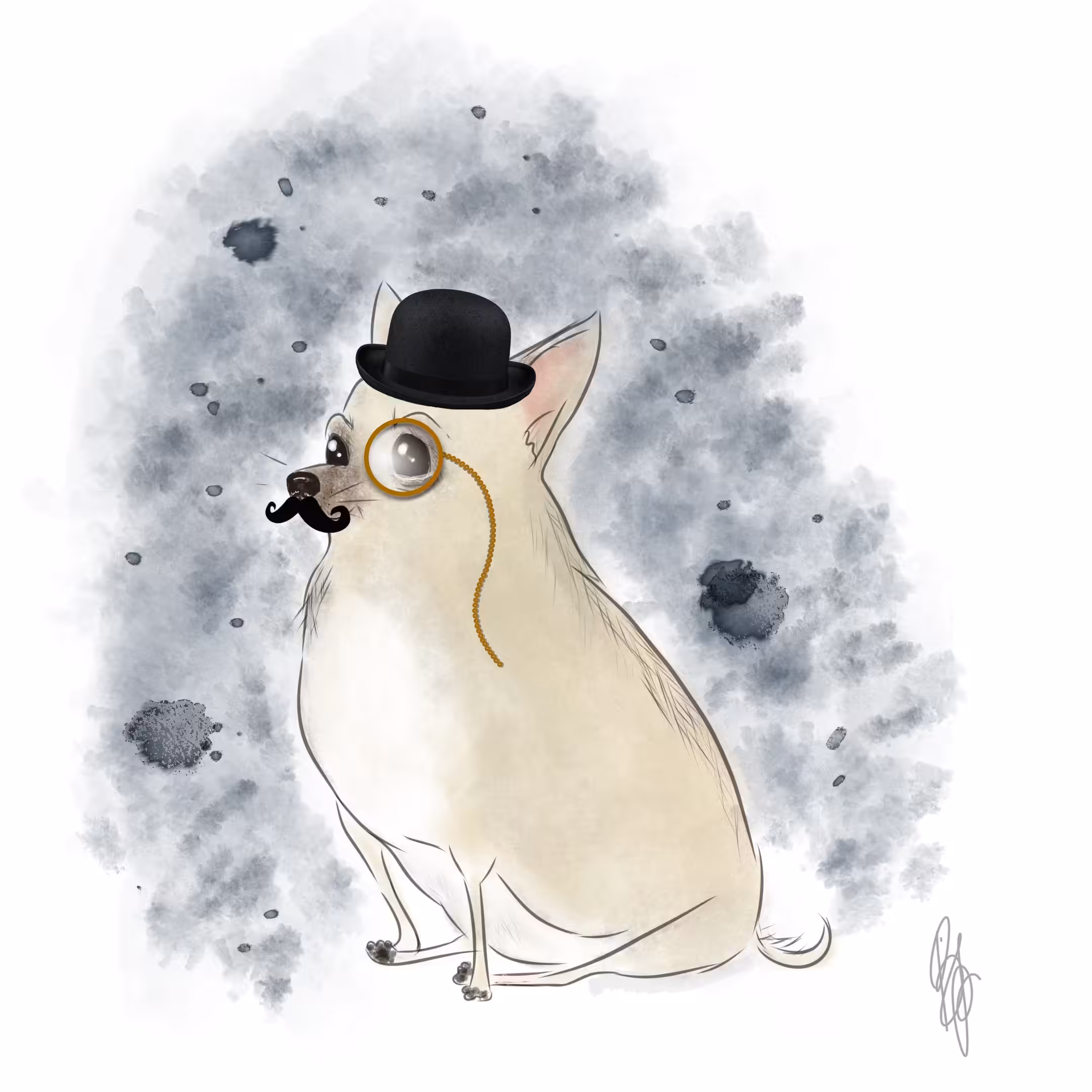 Gallant Chihuahua