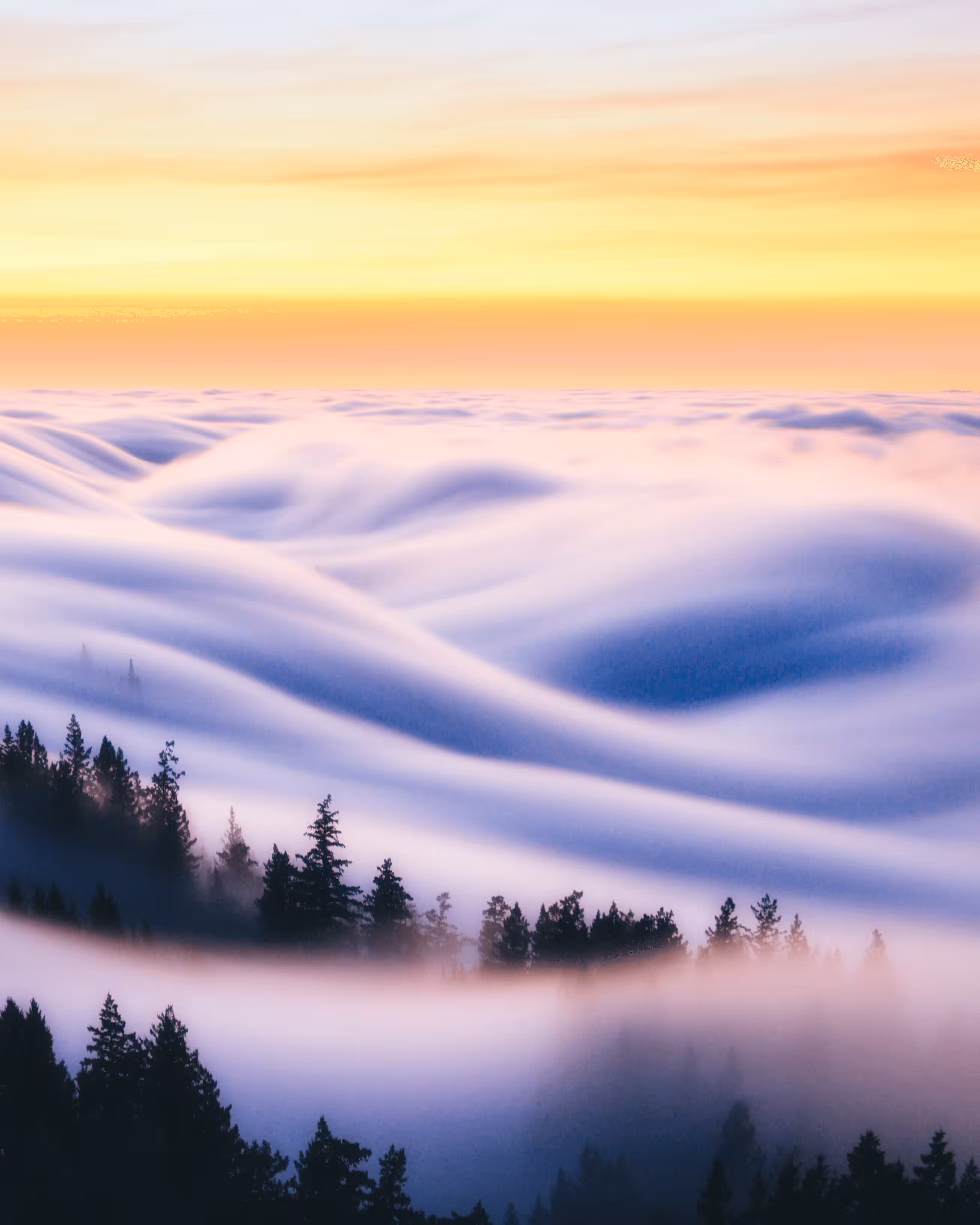 A Symphony of Fog #5