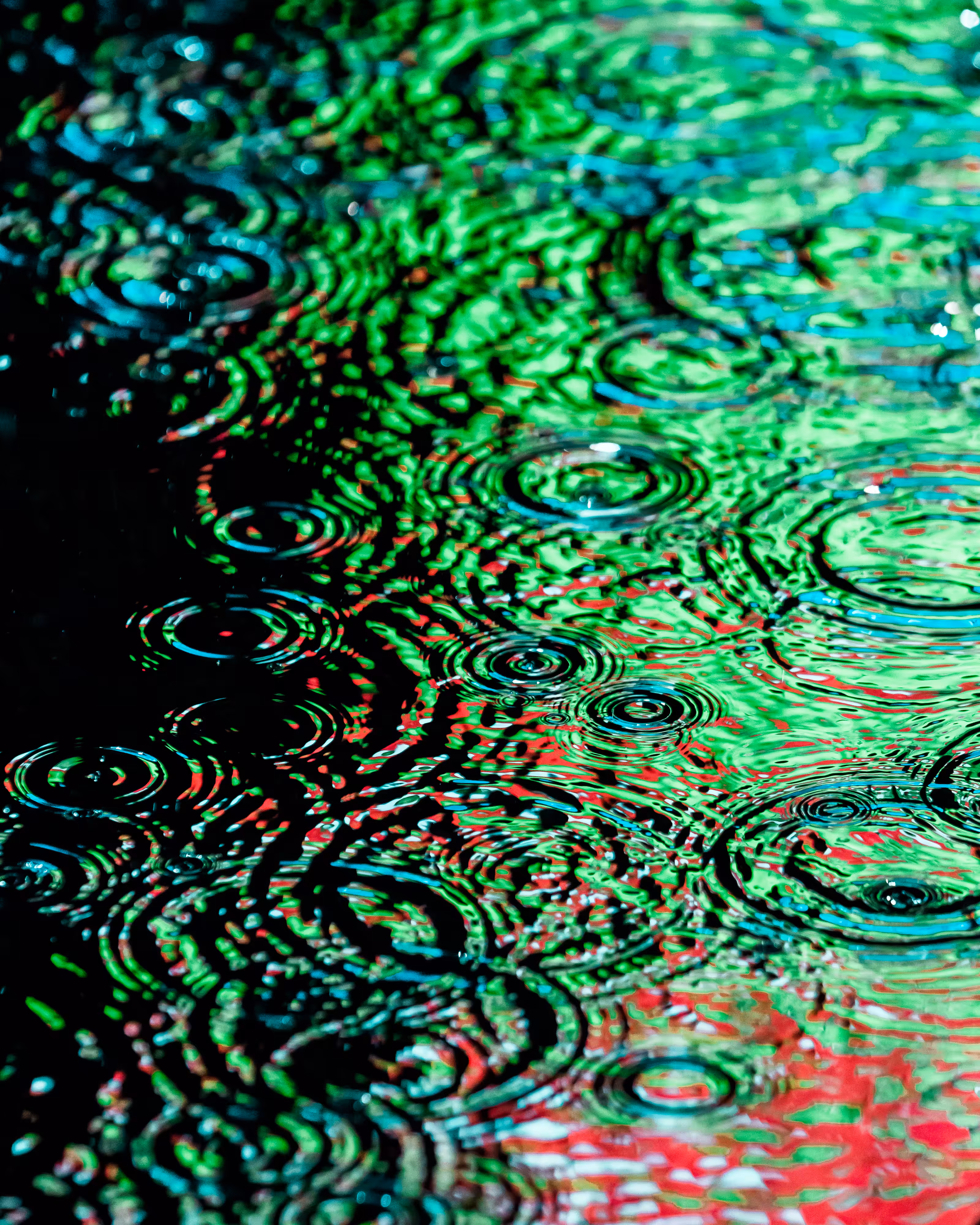 DRIP #966