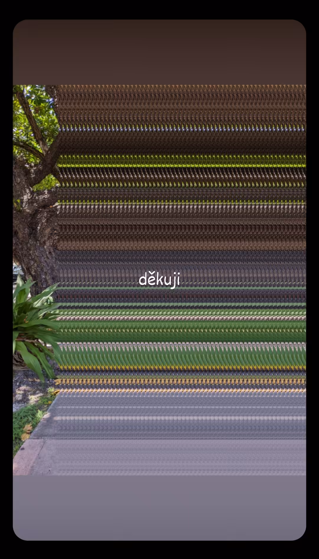 děkuji