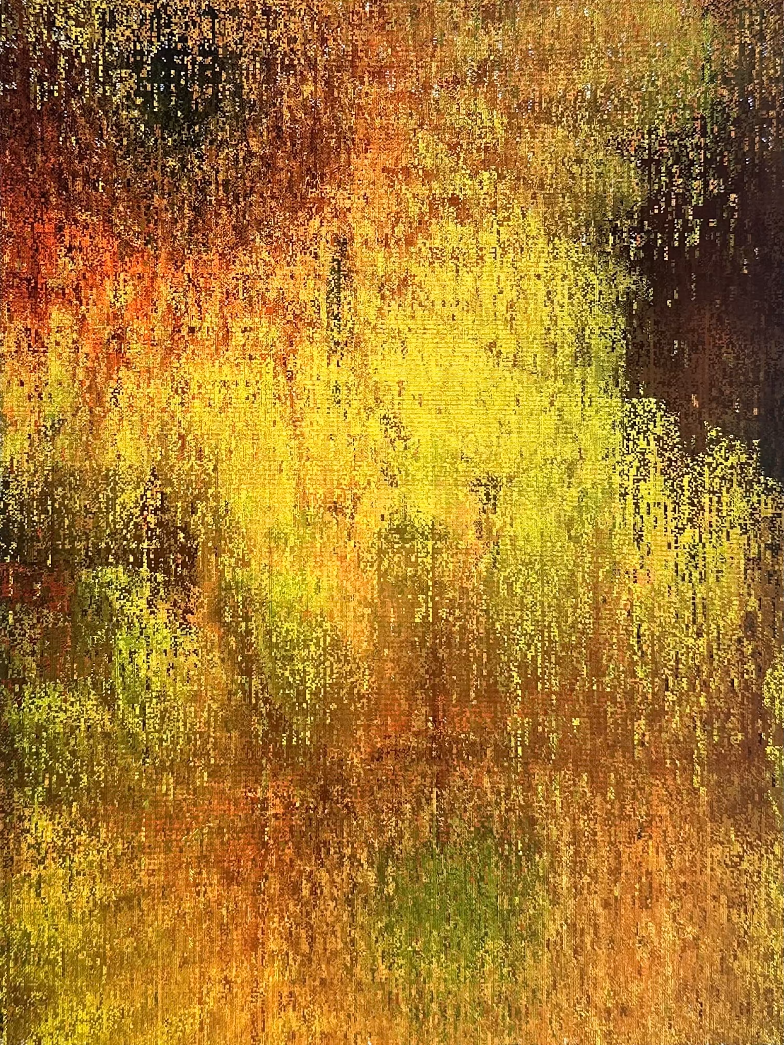 LOWREZ102