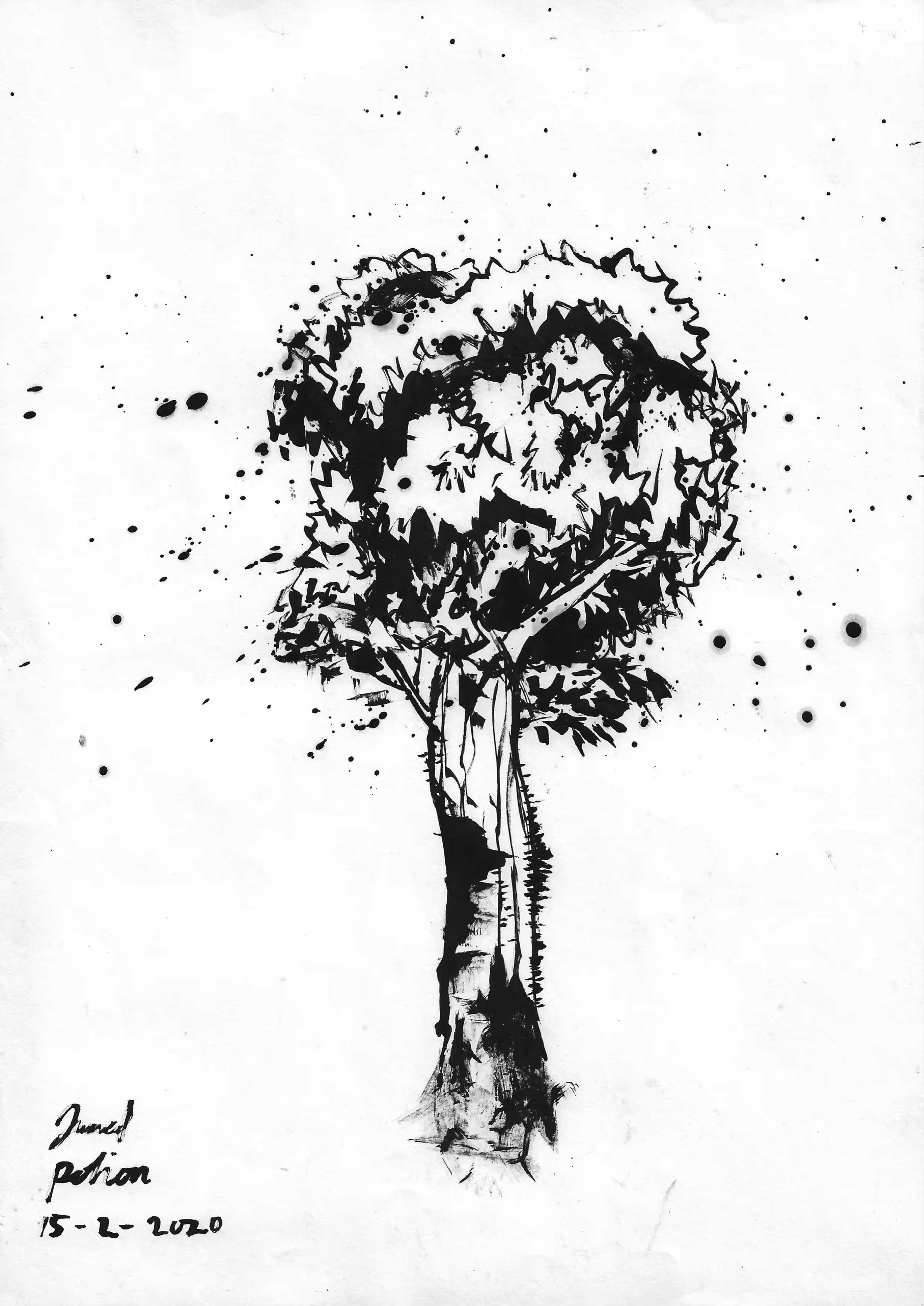 Sketch #001