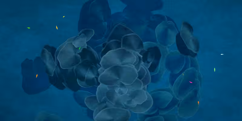 The Restoration Scheme: Reefs #35