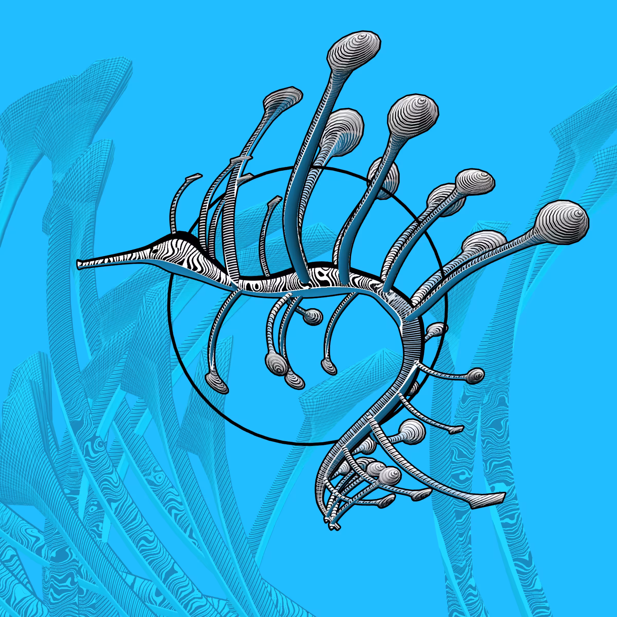 Seadragons #111