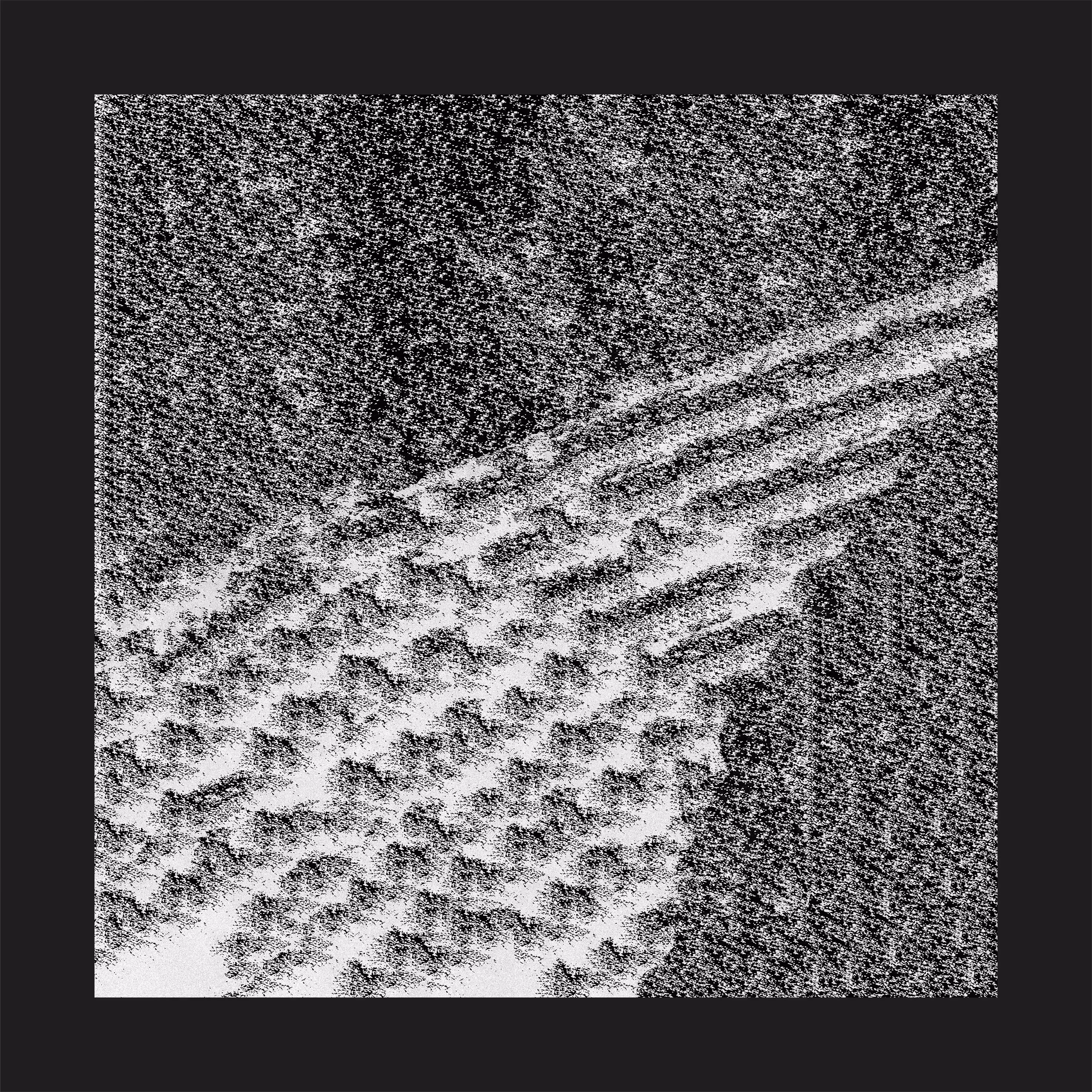 Digital Trails
