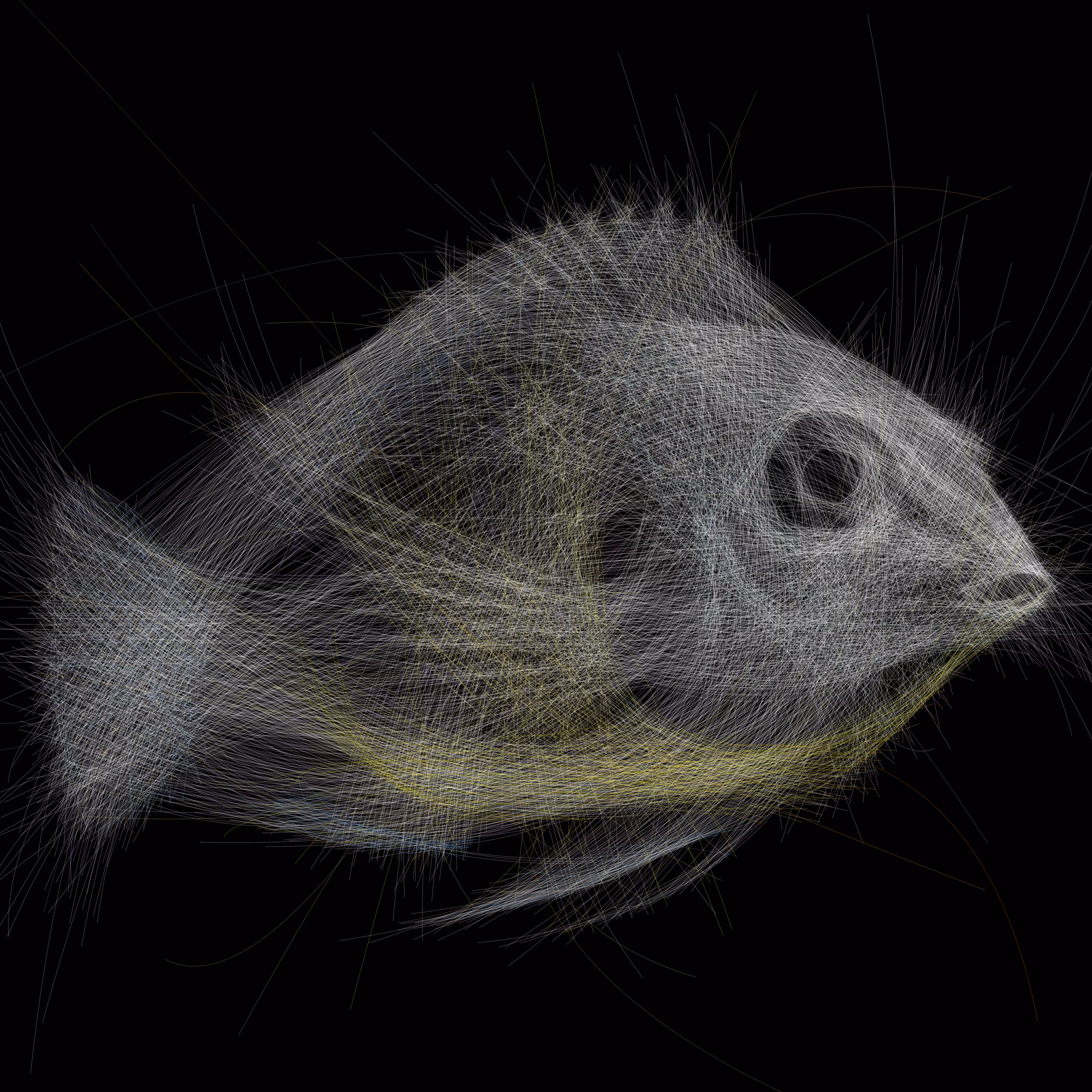 Underwater 137