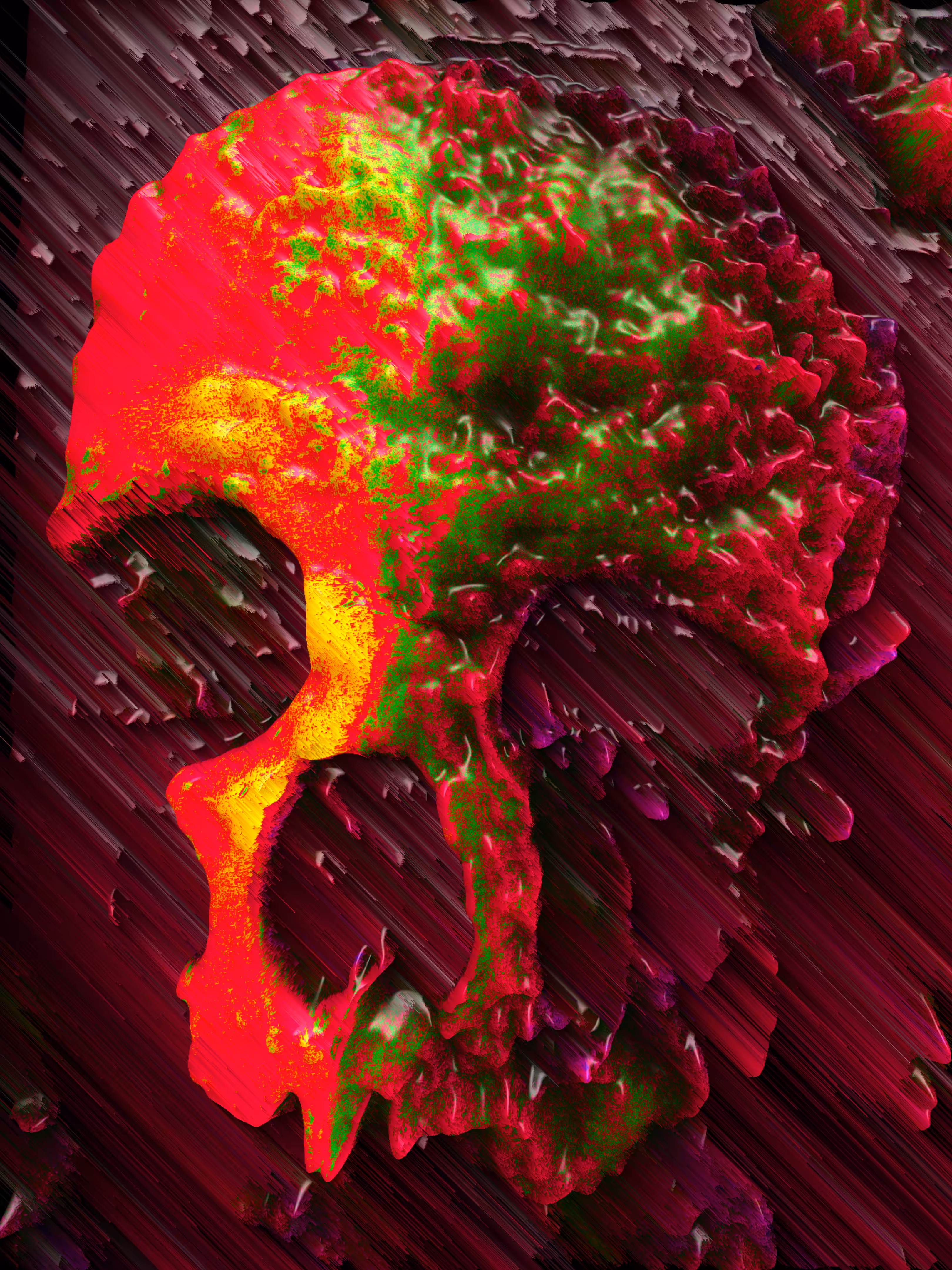D1z 100Randomz 001 Skull