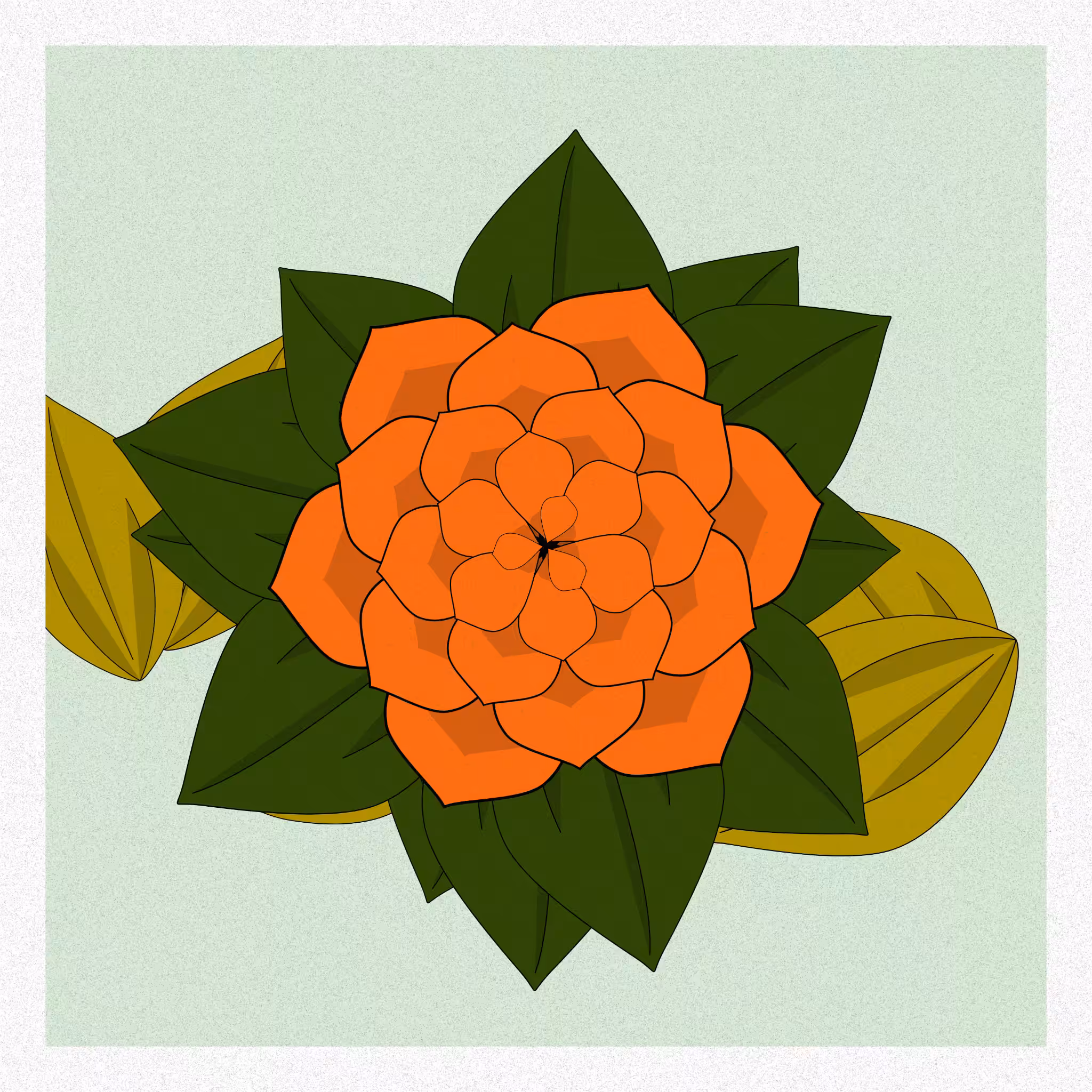 Flowers #214