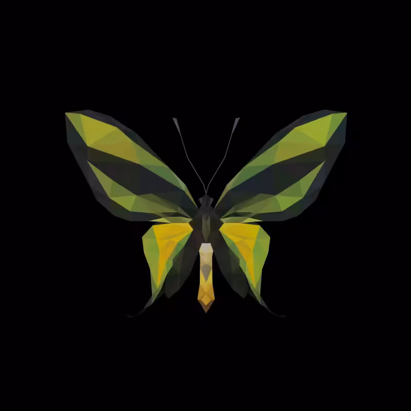 ƸӜƷ _ #001 _ ORNITHOPTERA PARADISEA FLAVESCENS _ #BBfly