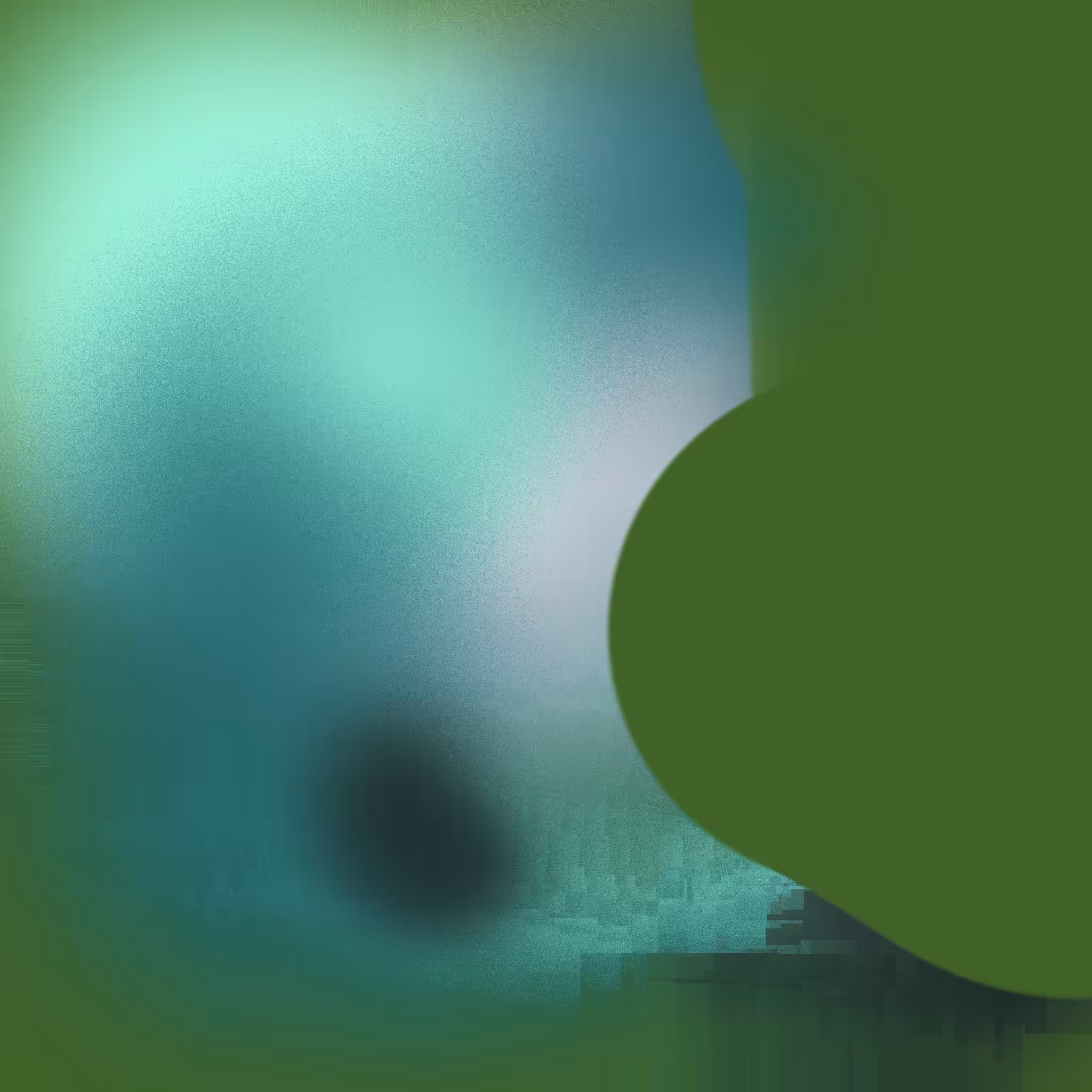 Internal Reflector #34